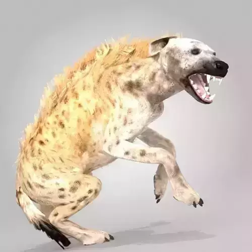 Hyena Rigged And Animated Low-poly 3D model