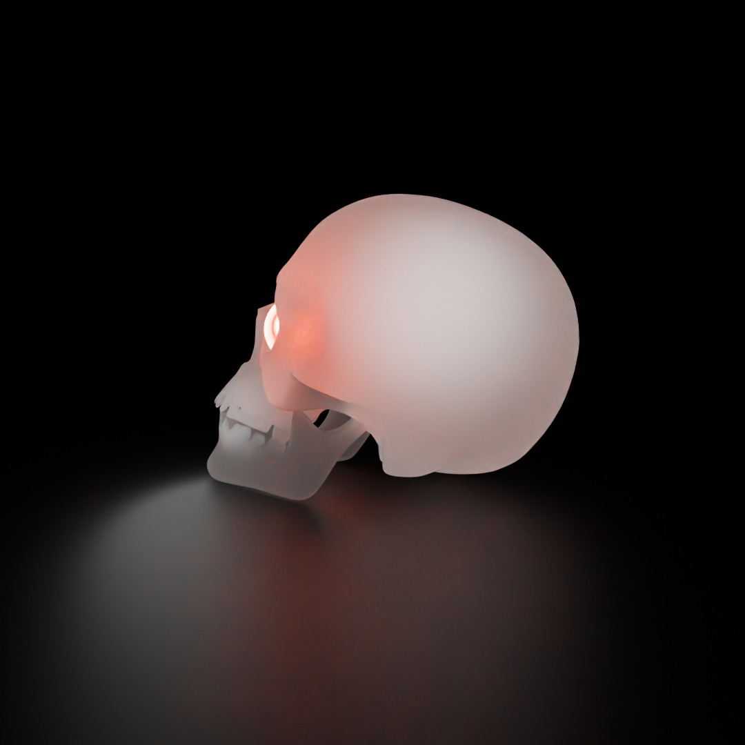 Indirect skull lighting Low-poly 3D model_3