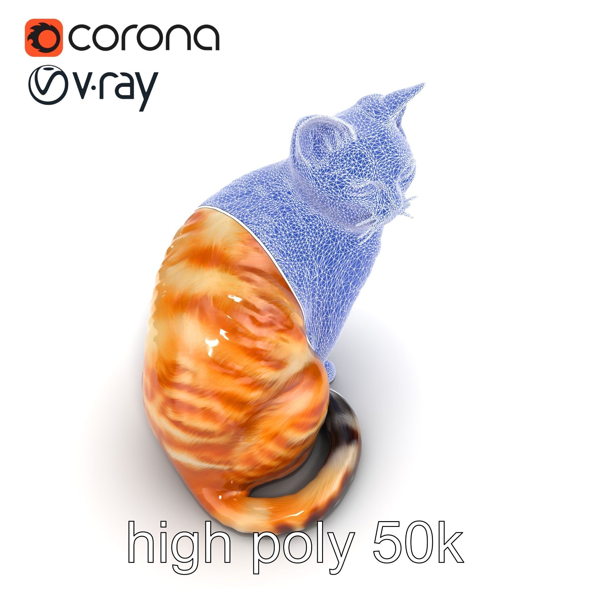 Realistic Domestic Cat 3D Model Pack Low-poly 3D model_23