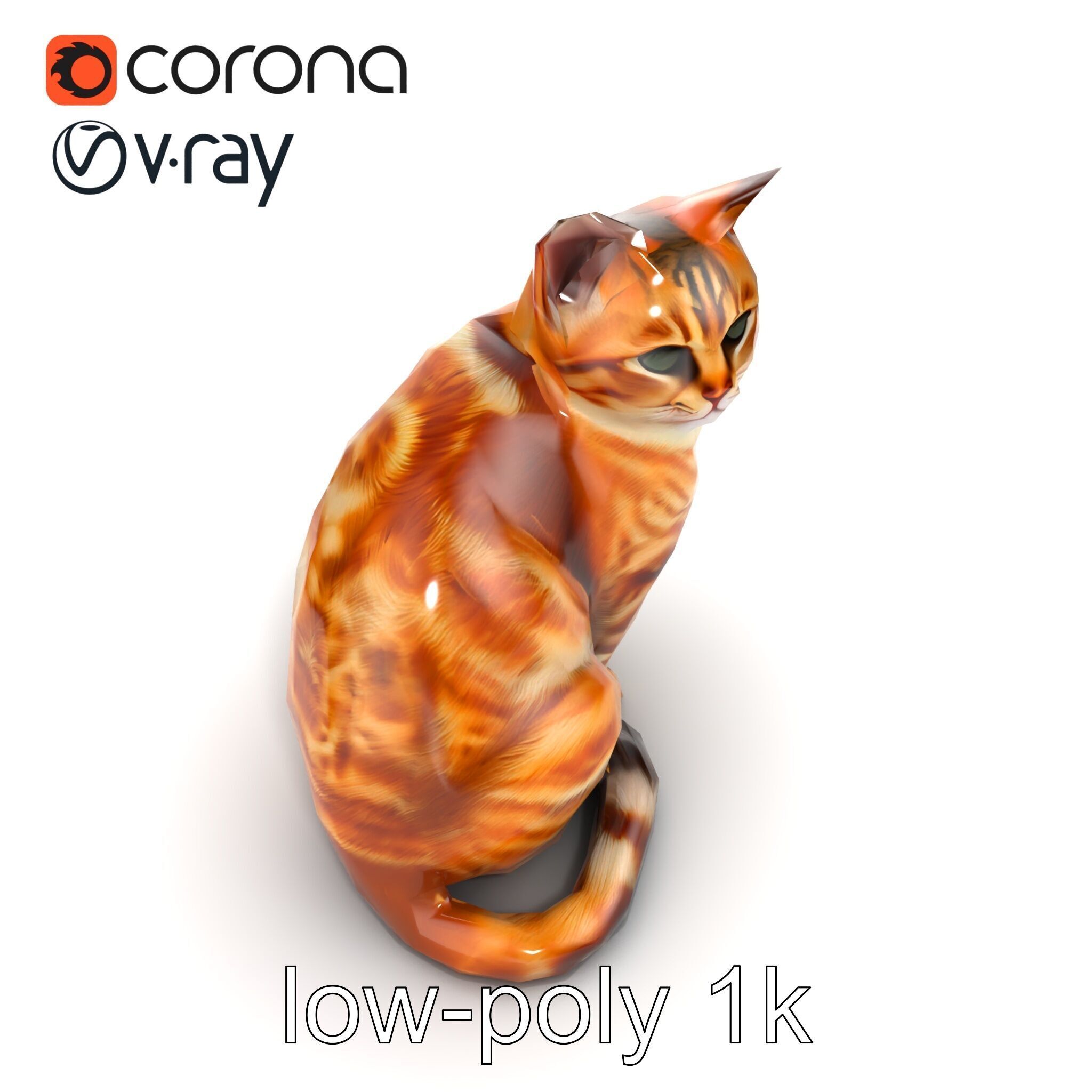 Realistic Domestic Cat 3D Model Pack Low-poly 3D model_12