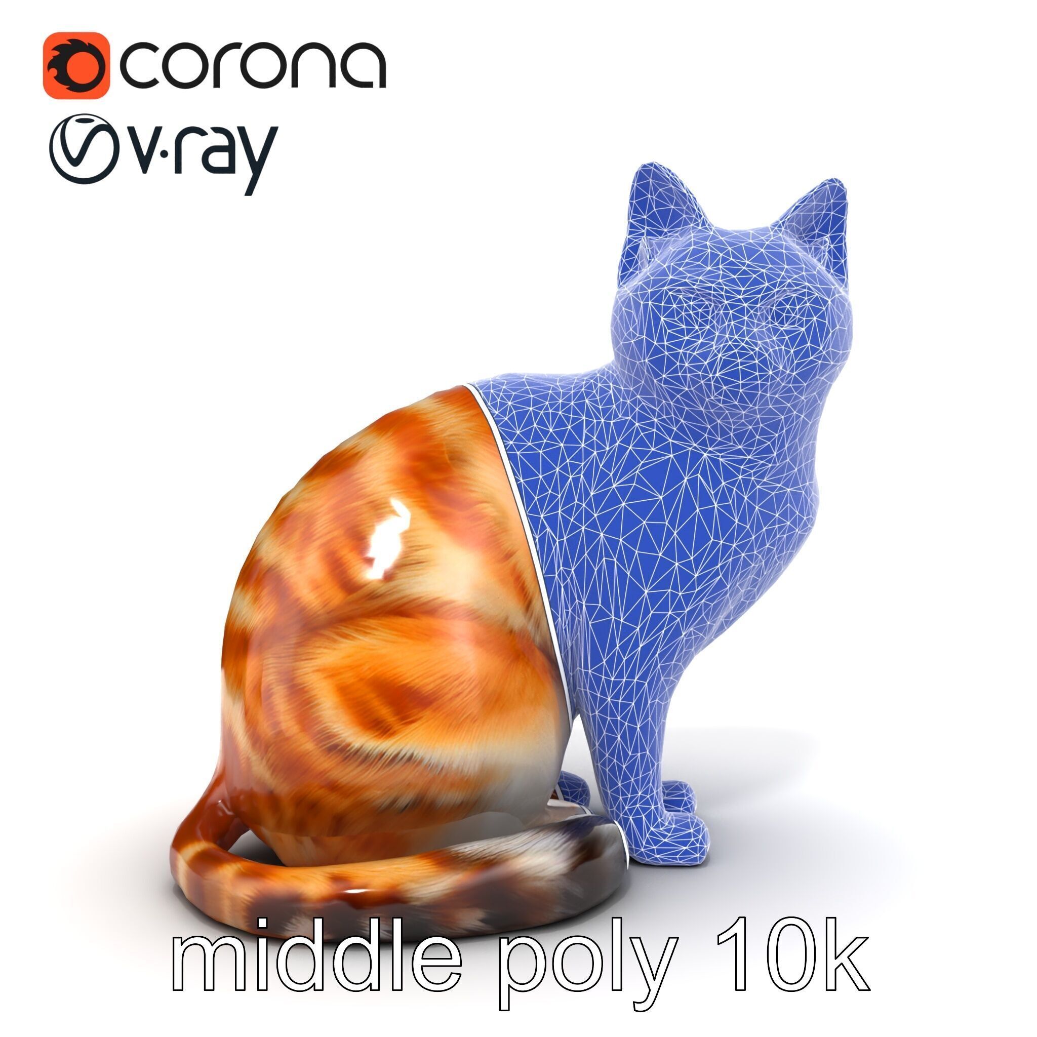 Realistic Domestic Cat 3D Model Pack Low-poly 3D model_31
