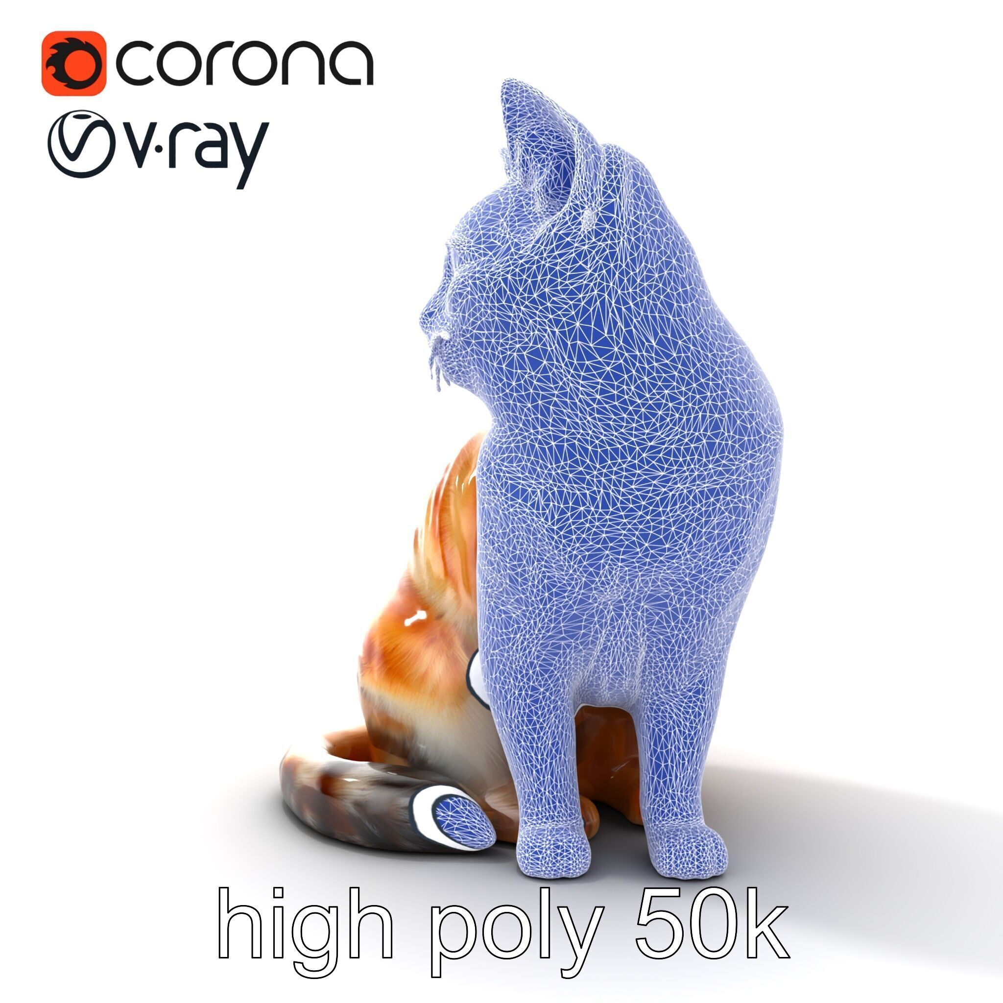 Realistic Domestic Cat 3D Model Pack Low-poly 3D model_28