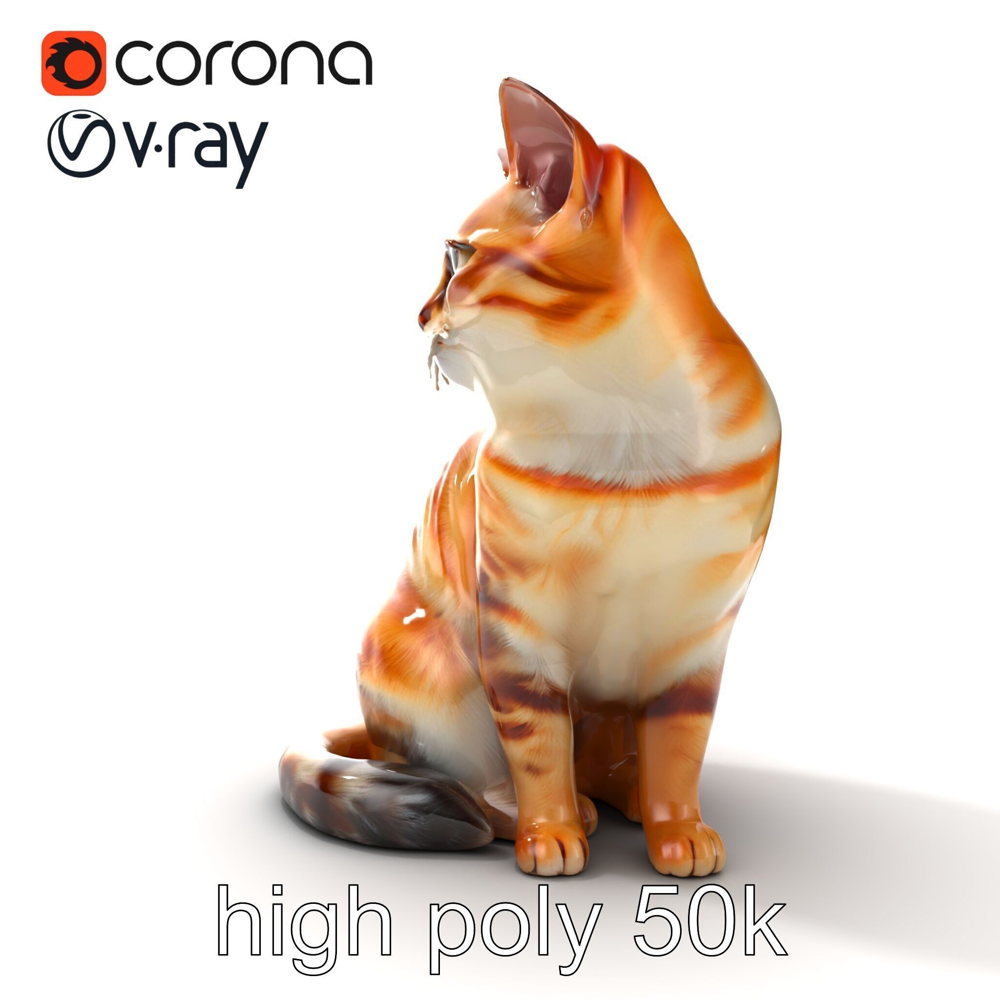 Realistic Domestic Cat 3D Model Pack Low-poly 3D model_21