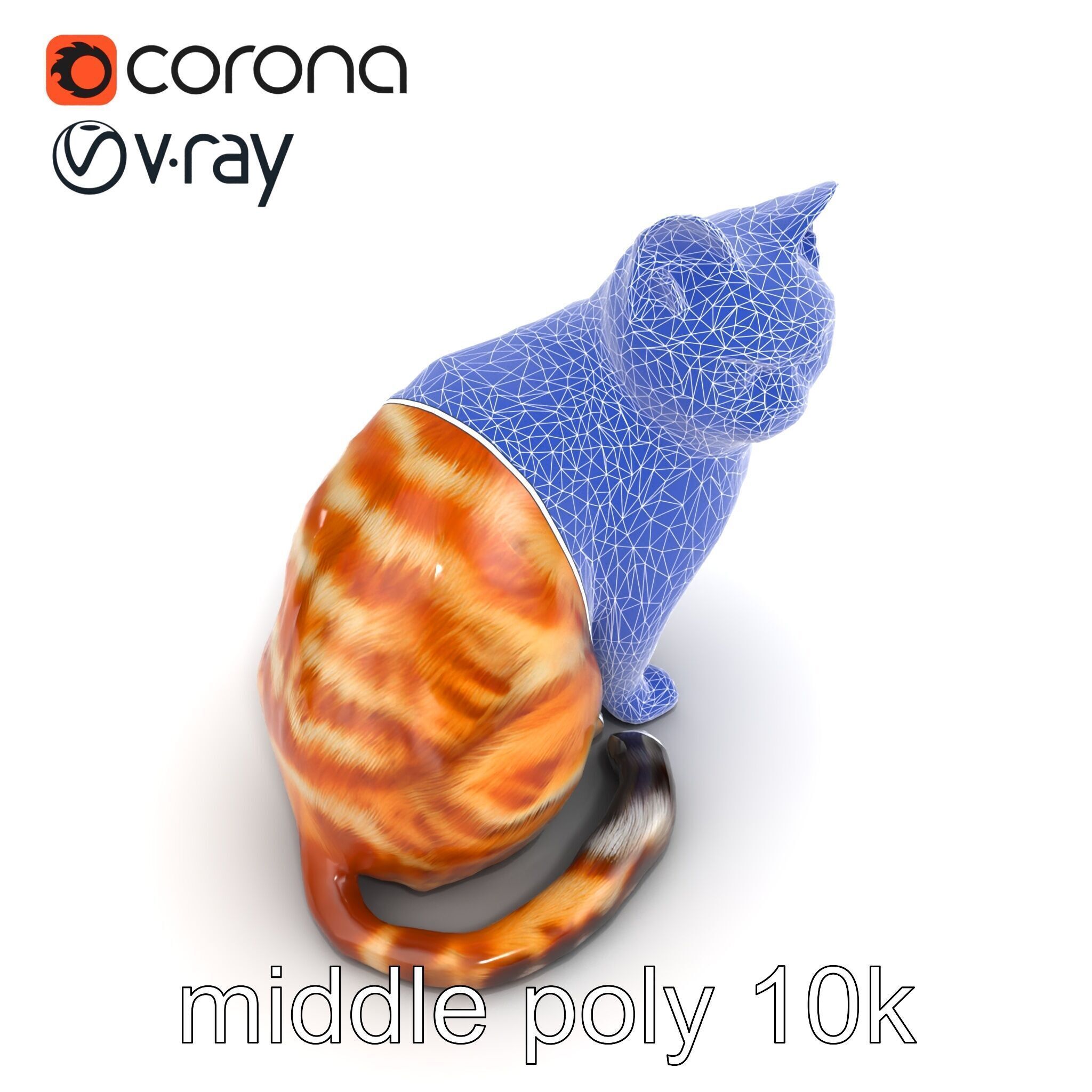 Realistic Domestic Cat 3D Model Pack Low-poly 3D model_19