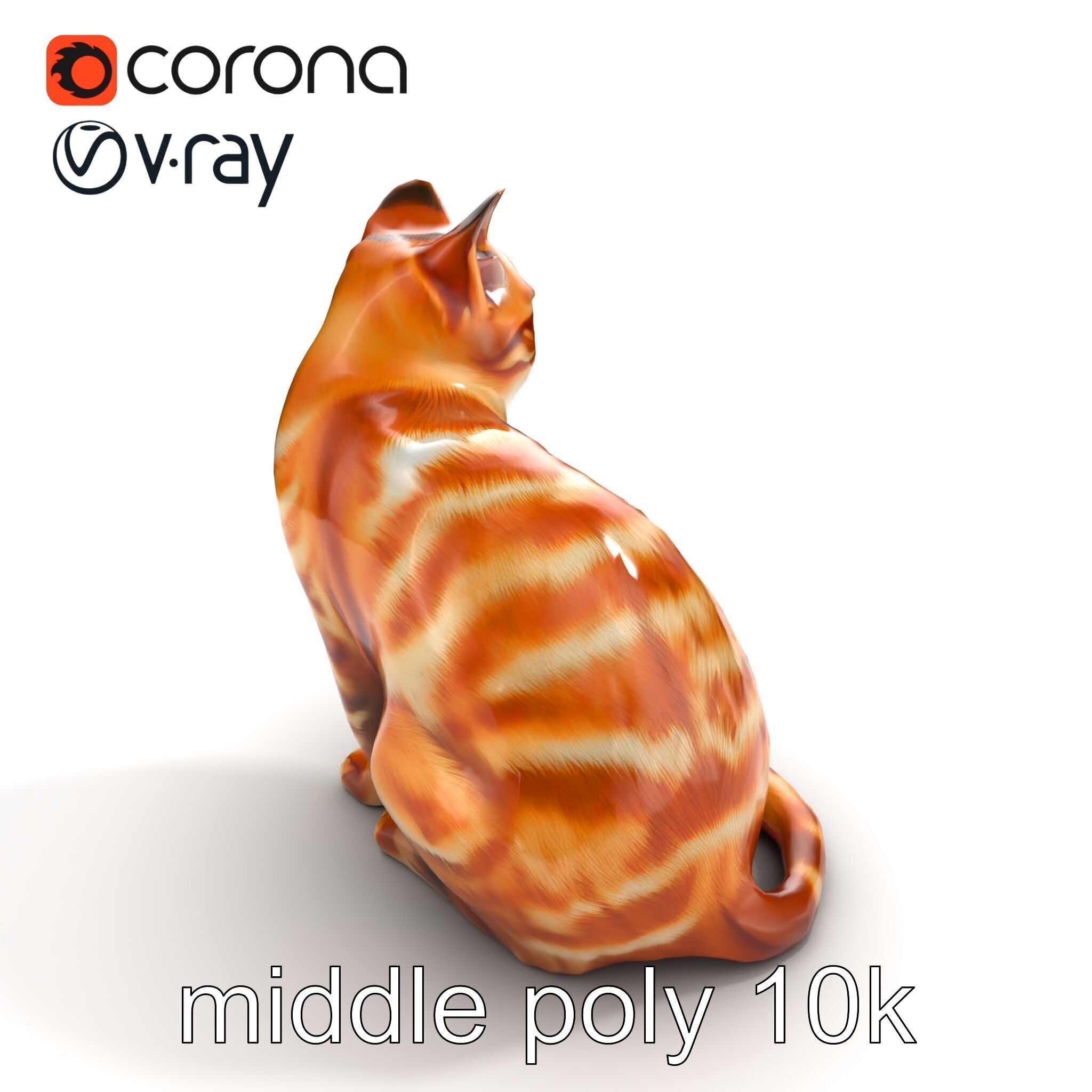 Realistic Domestic Cat 3D Model Pack Low-poly 3D model_8