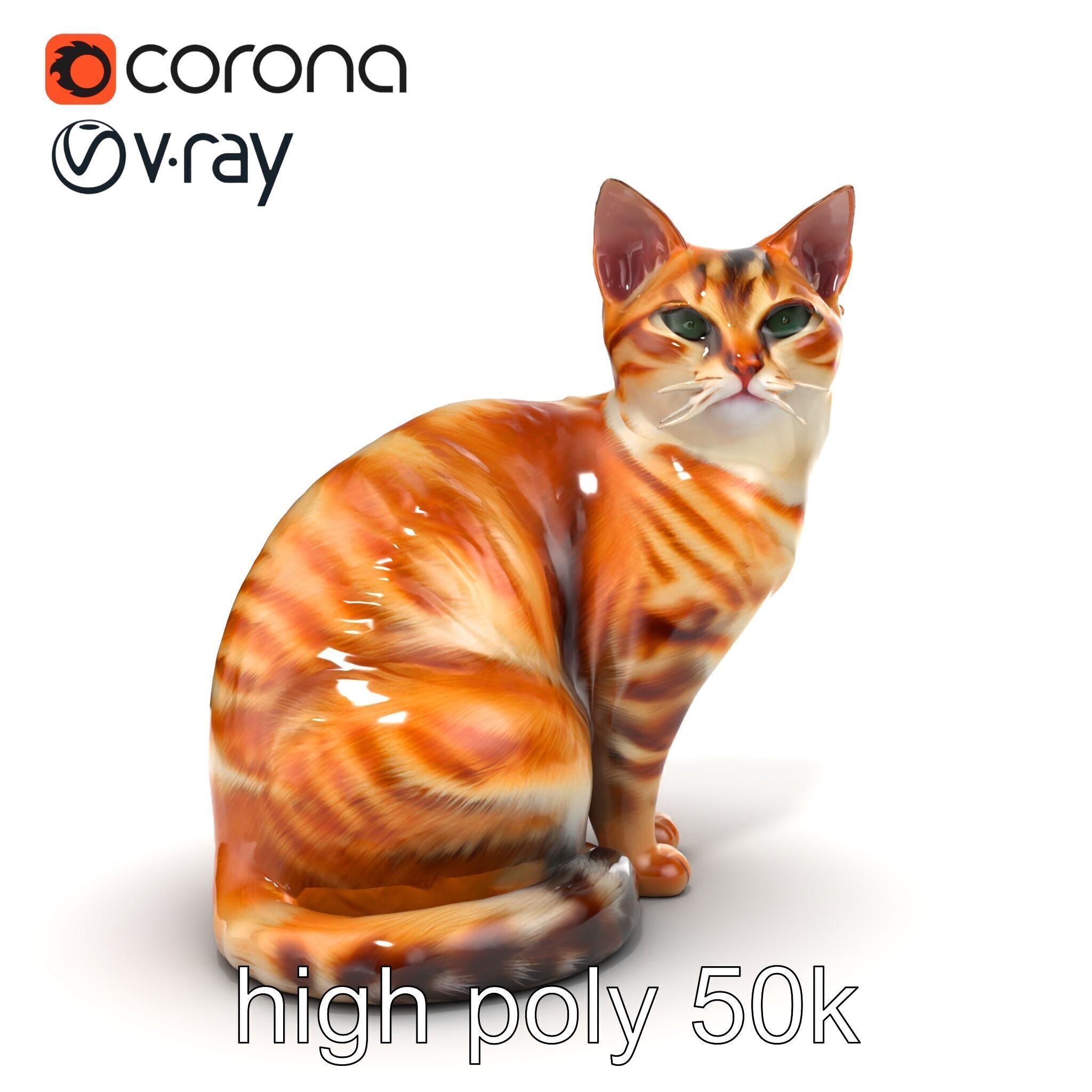 Realistic Domestic Cat 3D Model Pack Low-poly 3D model_22