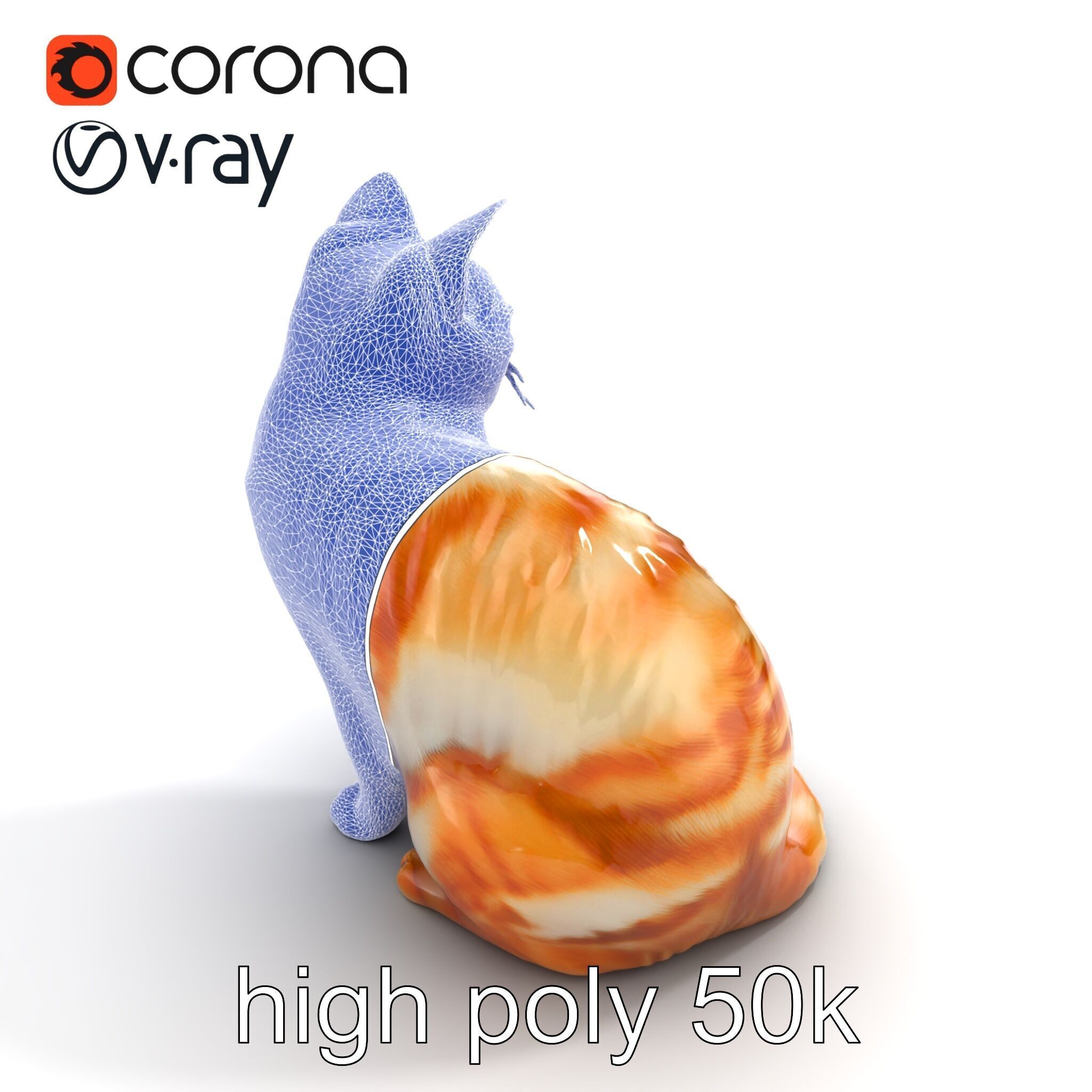 Realistic Domestic Cat 3D Model Pack Low-poly 3D model_26