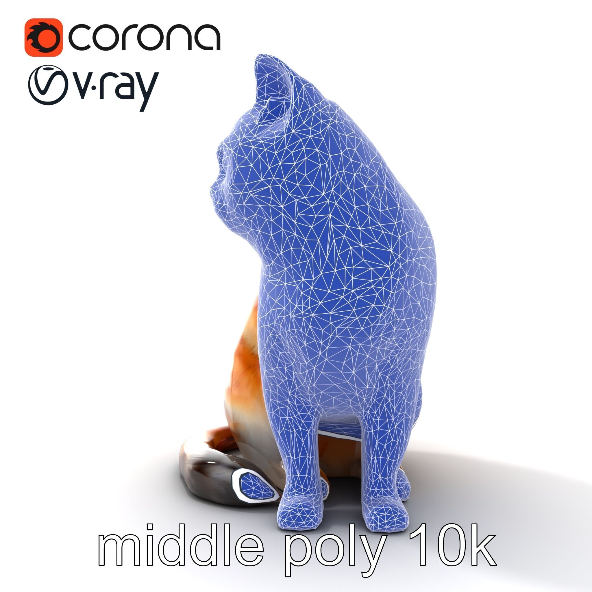 Realistic Domestic Cat 3D Model Pack Low-poly 3D model_29
