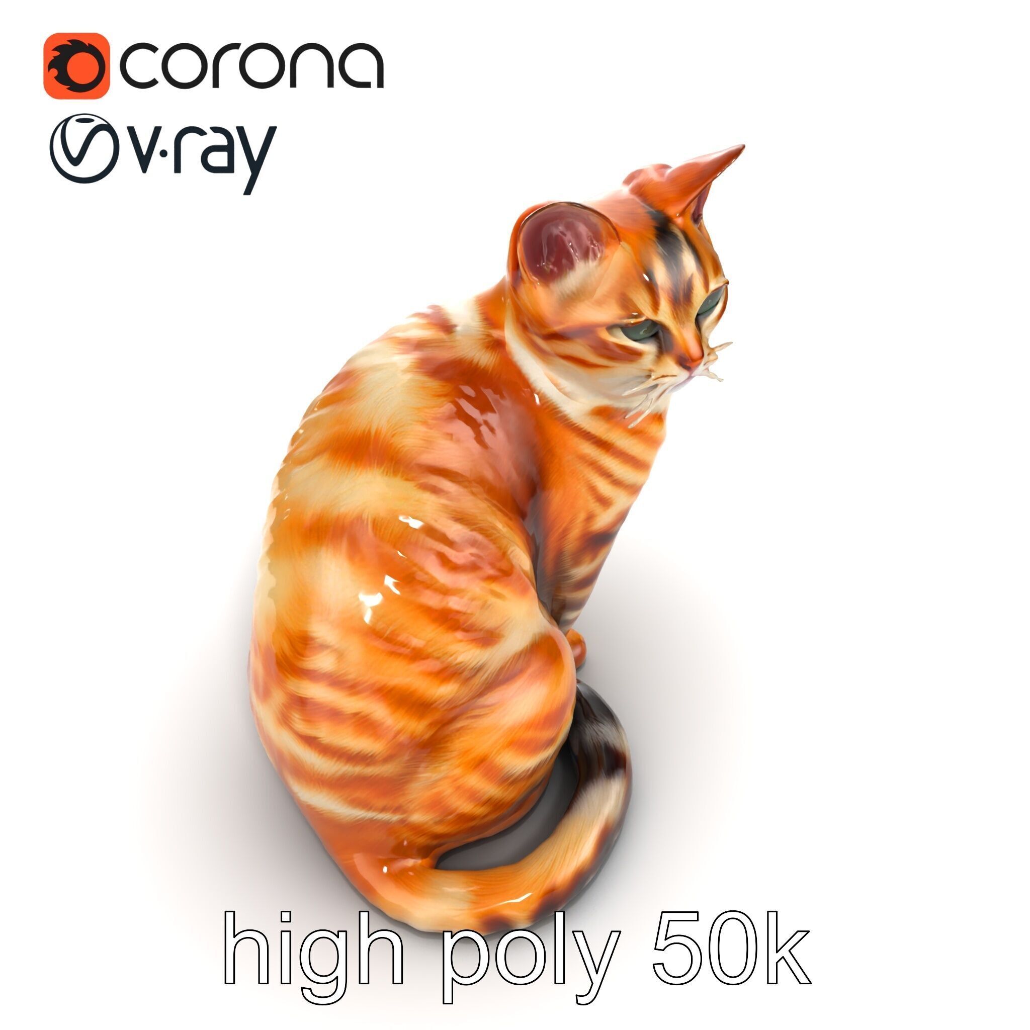 Realistic Domestic Cat 3D Model Pack Low-poly 3D model_25