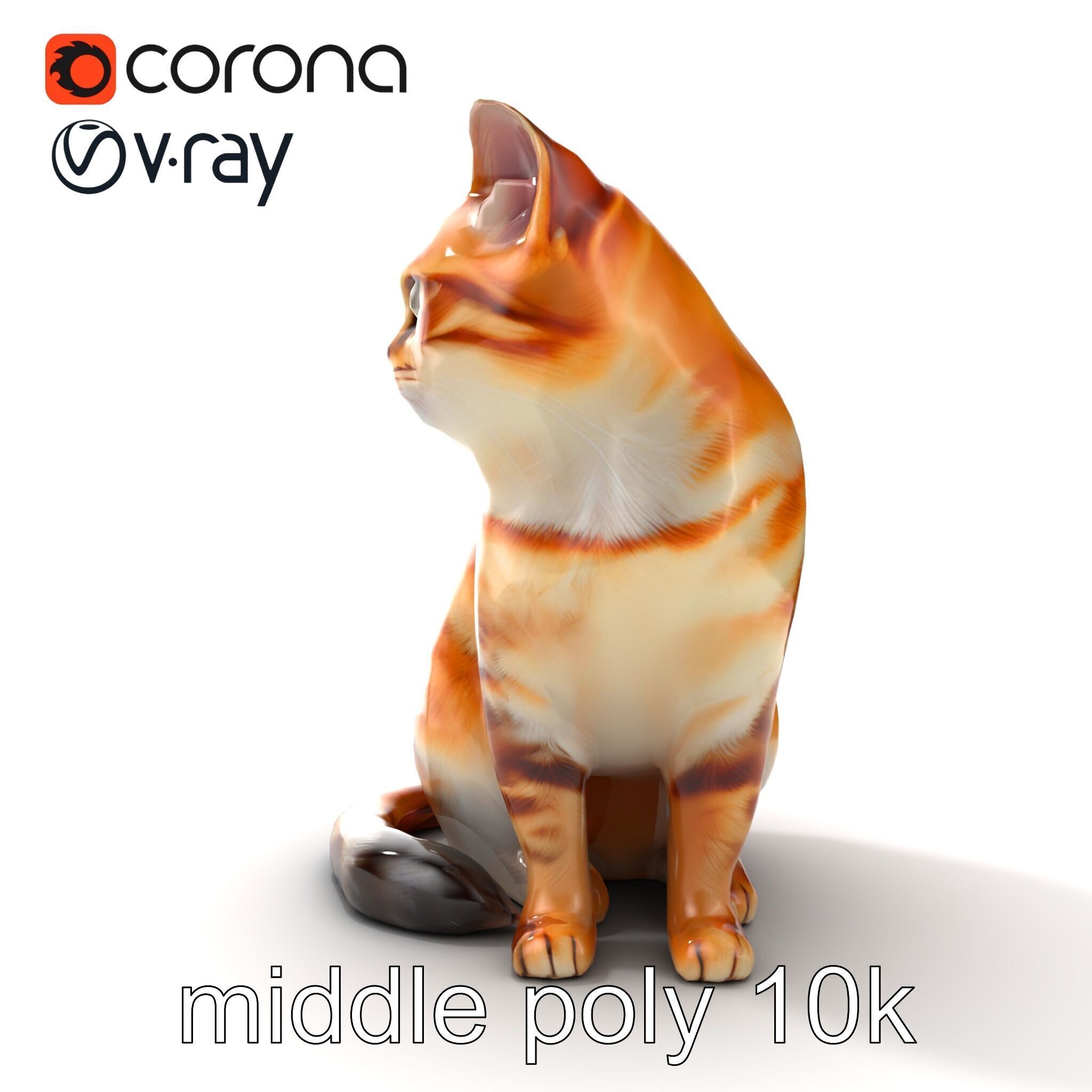 Realistic Domestic Cat 3D Model Pack Low-poly 3D model_27