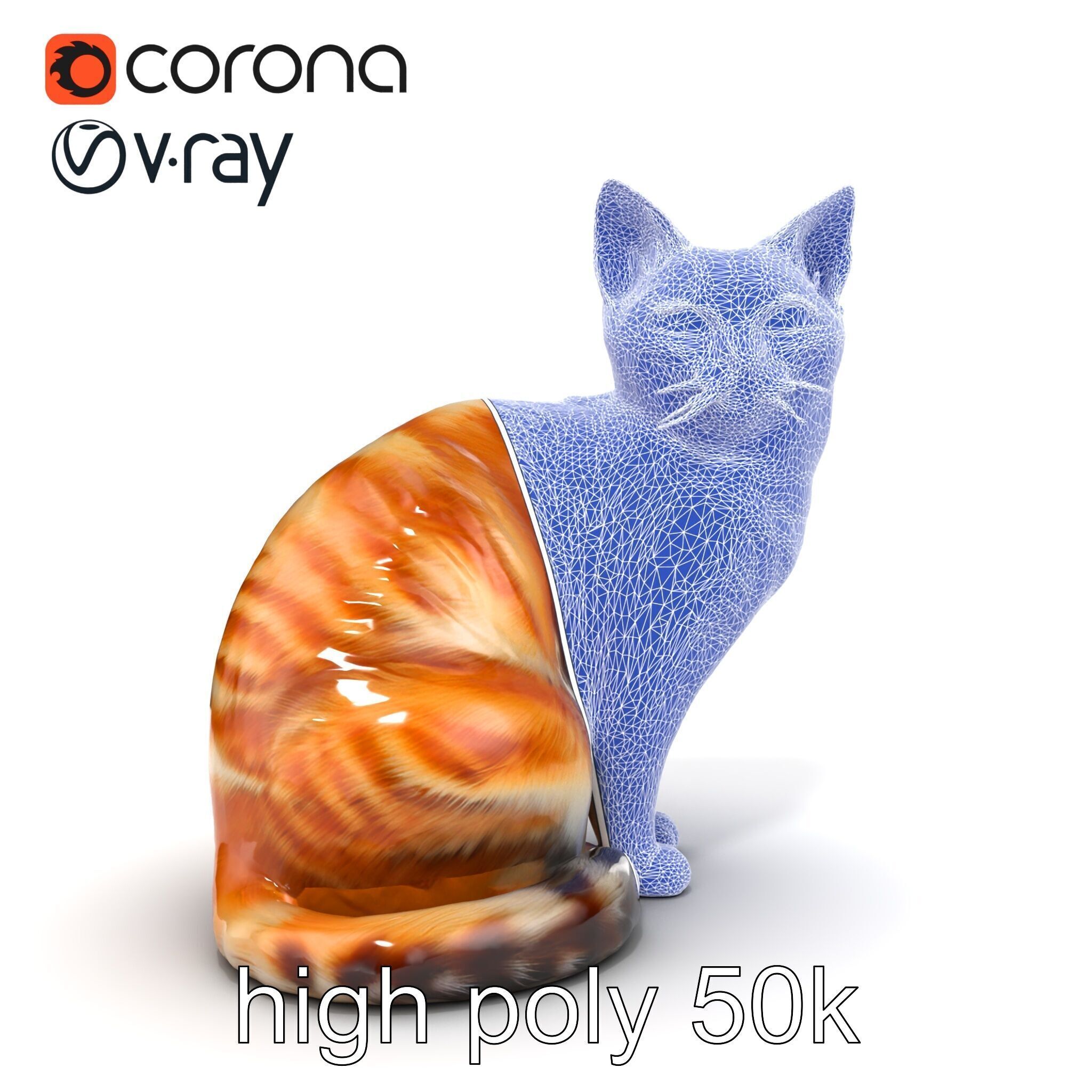 Realistic Domestic Cat 3D Model Pack Low-poly 3D model_32