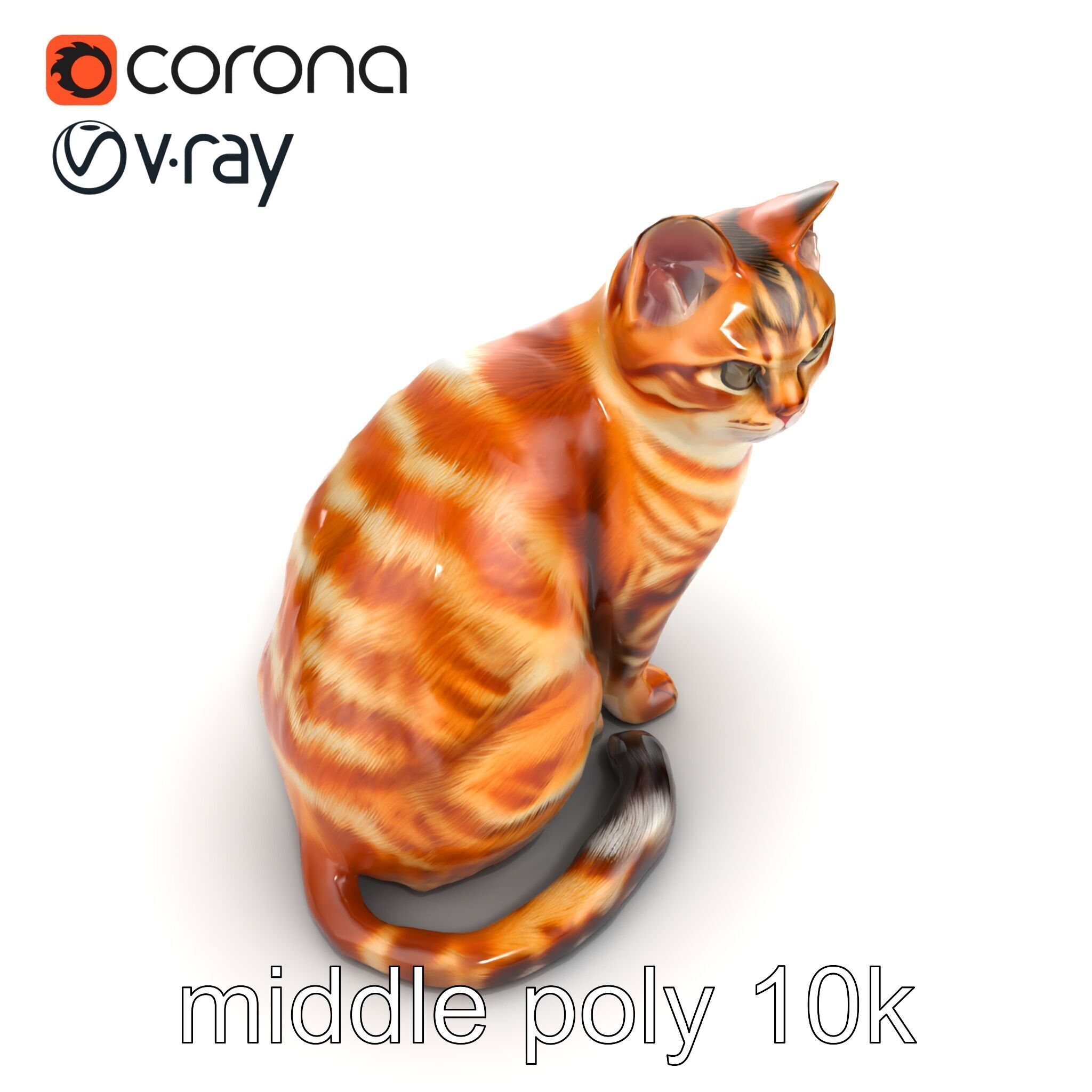 Realistic Domestic Cat 3D Model Pack Low-poly 3D model_13