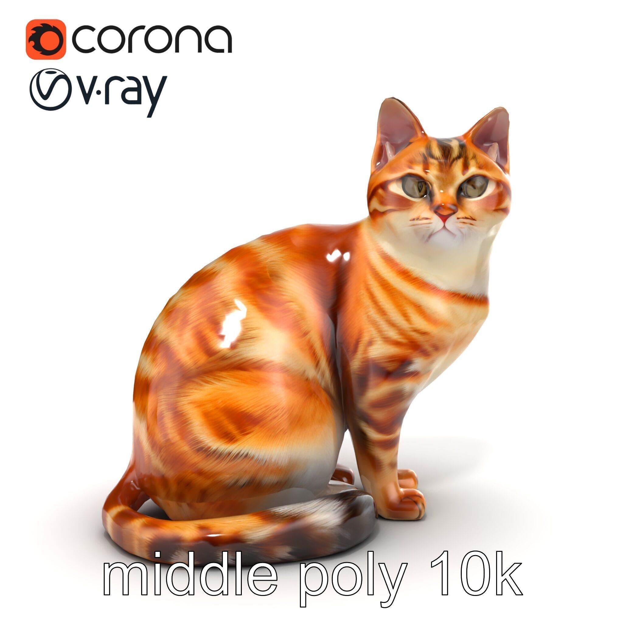 Realistic Domestic Cat 3D Model Pack Low-poly 3D model_17