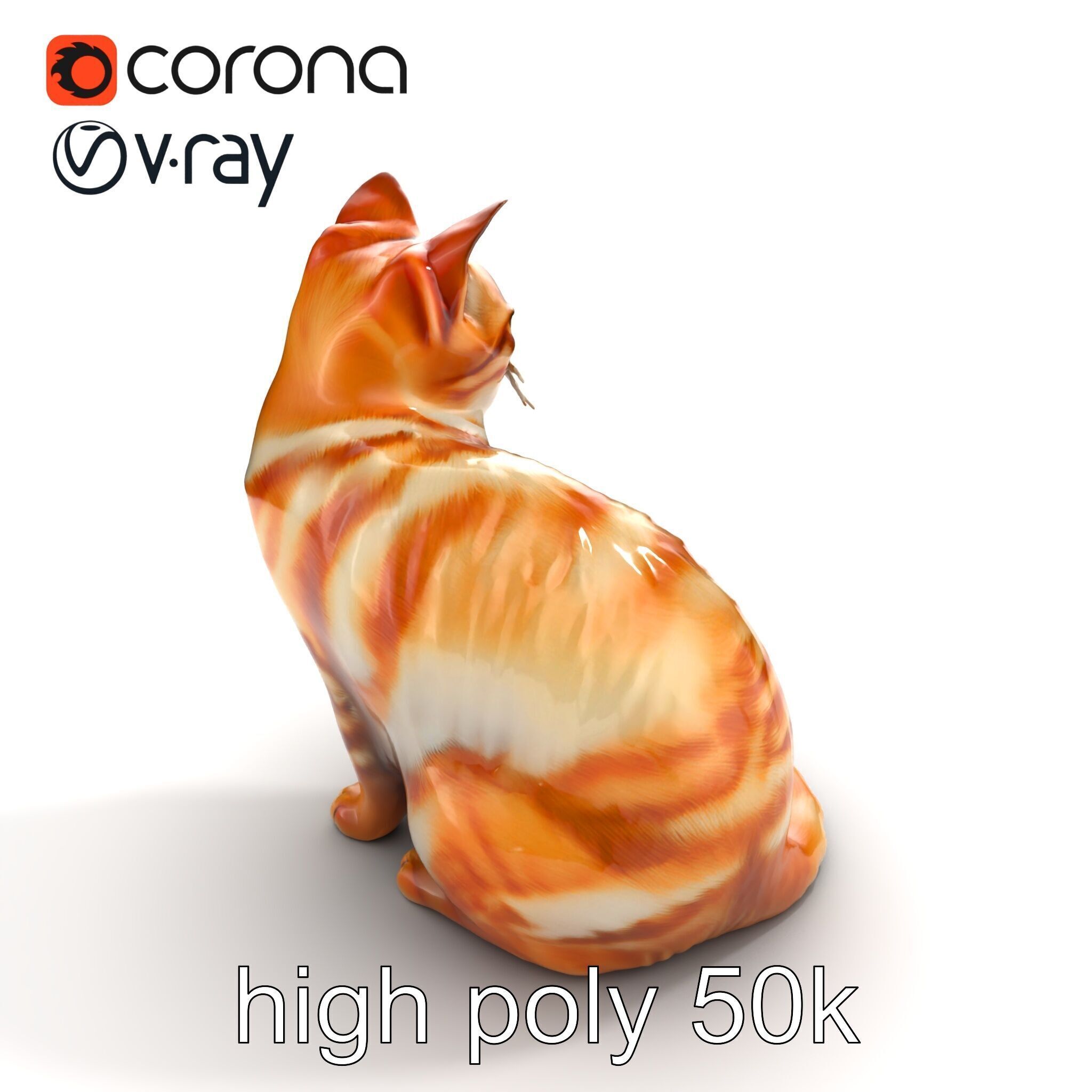 Realistic Domestic Cat 3D Model Pack Low-poly 3D model_11