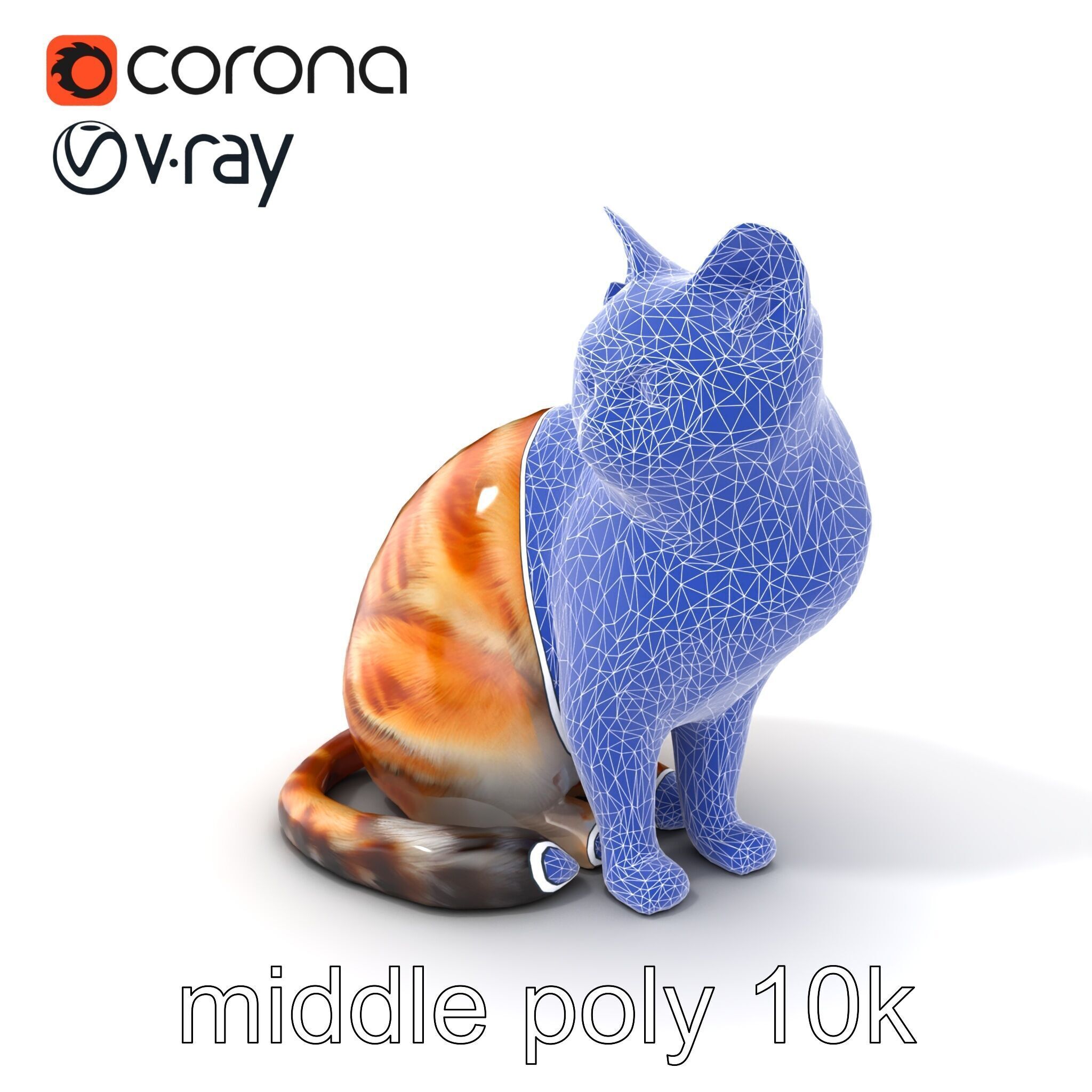 Realistic Domestic Cat 3D Model Pack Low-poly 3D model_6