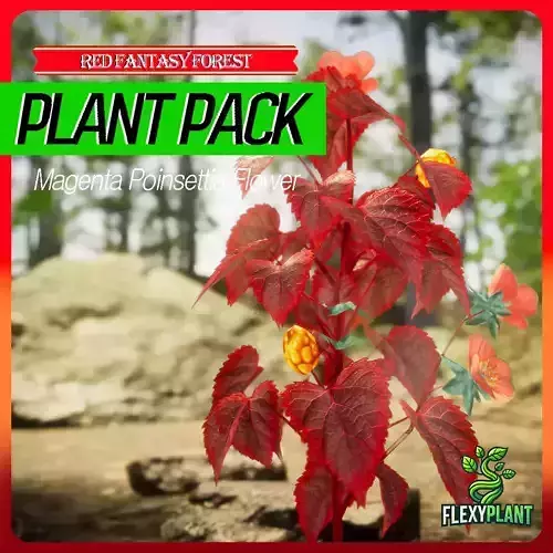 Red Fantasy Forest - 6 Magenta Poinsettia Flower Grass Plant