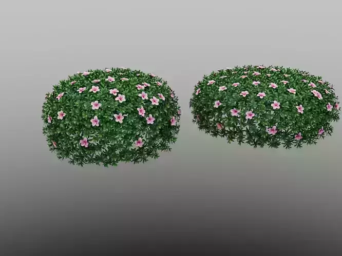 Model of Rhododendron Ball Ornamental Plant 3D model