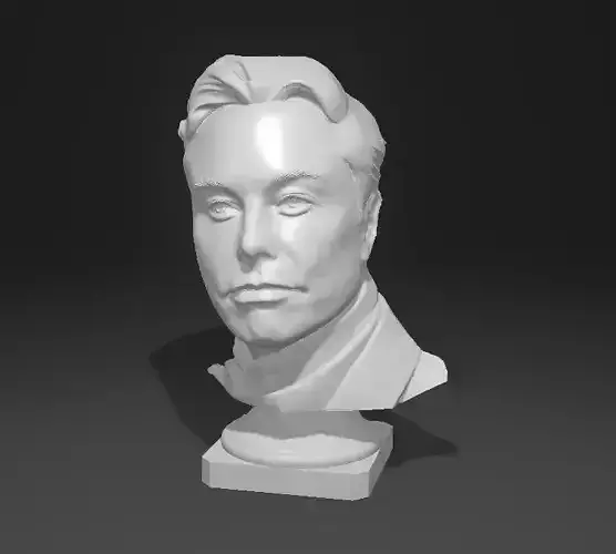 Elon Musk portrait sculture 3D print model