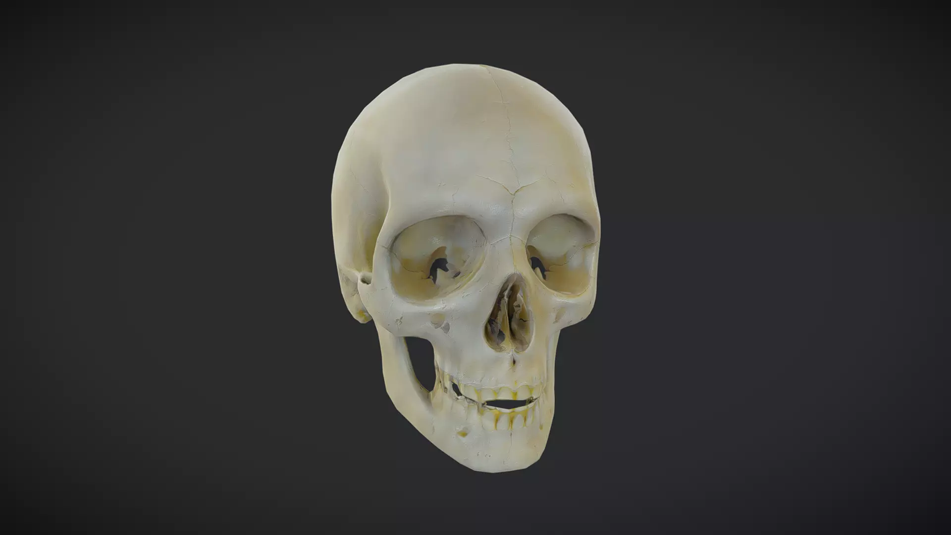 Human Skull Low-poly 3D model_0