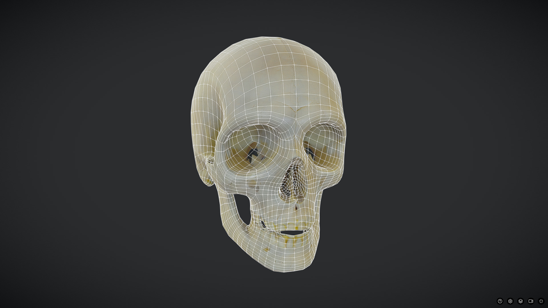 Human Skull Low-poly 3D model_2