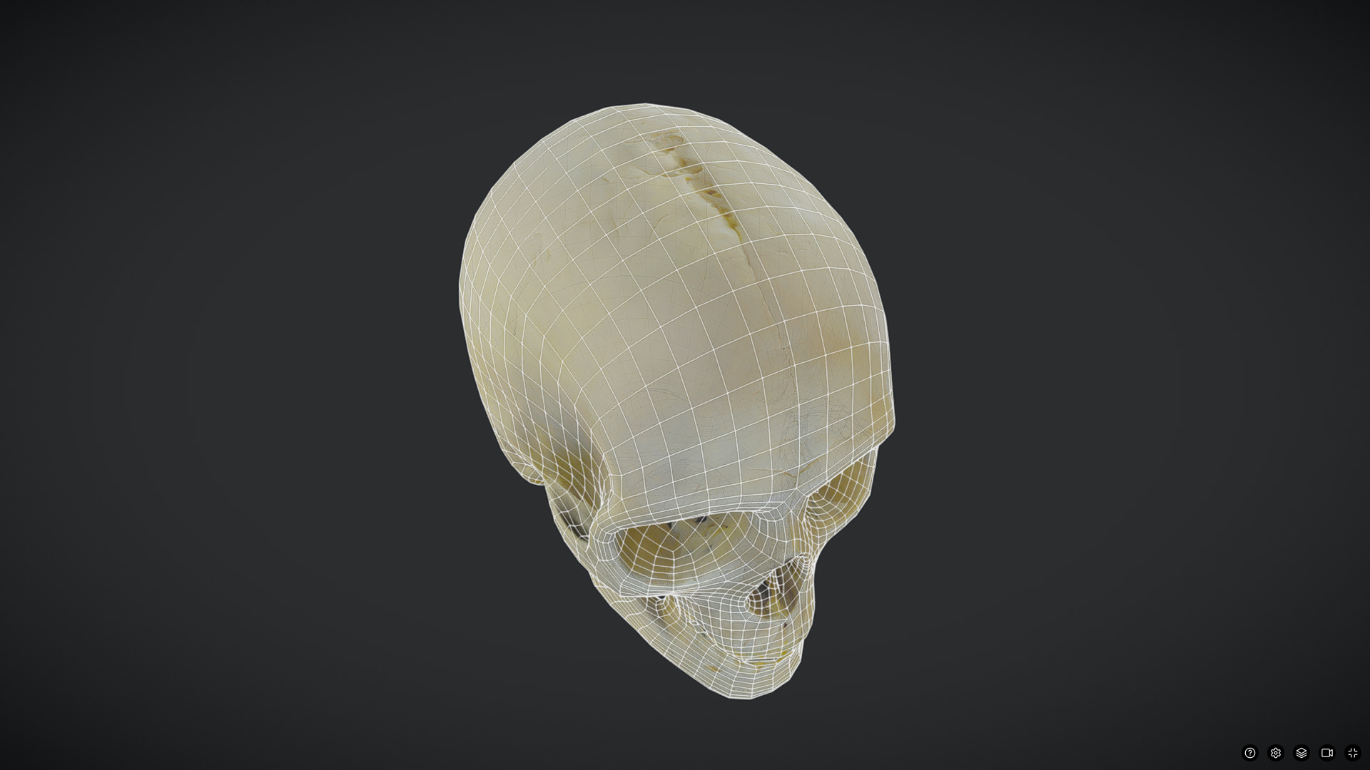 Human Skull Low-poly 3D model_6