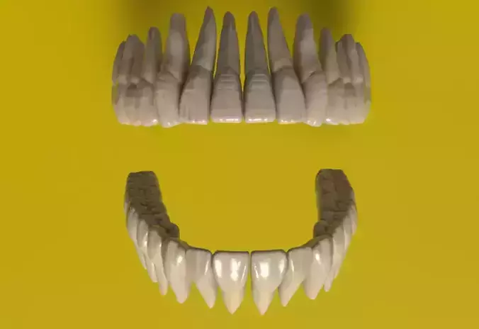 Realistic 3D Teeth Set 3D print model