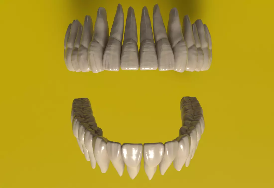 Realistic 3D Teeth Set 3D print model