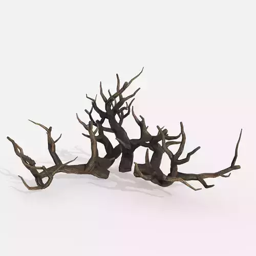 Aquarium Snag Banches V1