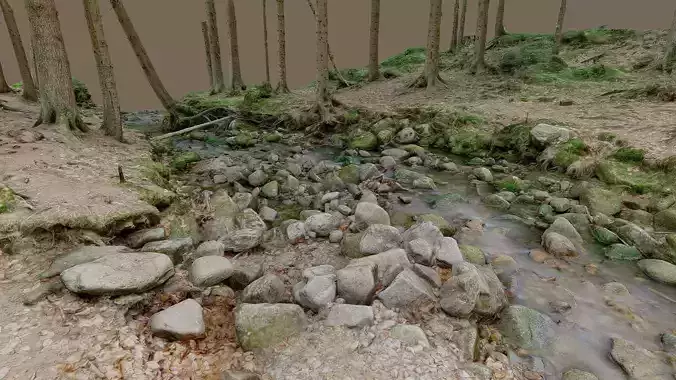 Mountain stream in the forest