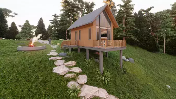 Modern Tiny House