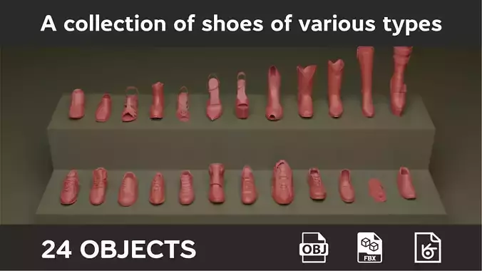 A collection of shoes of various types