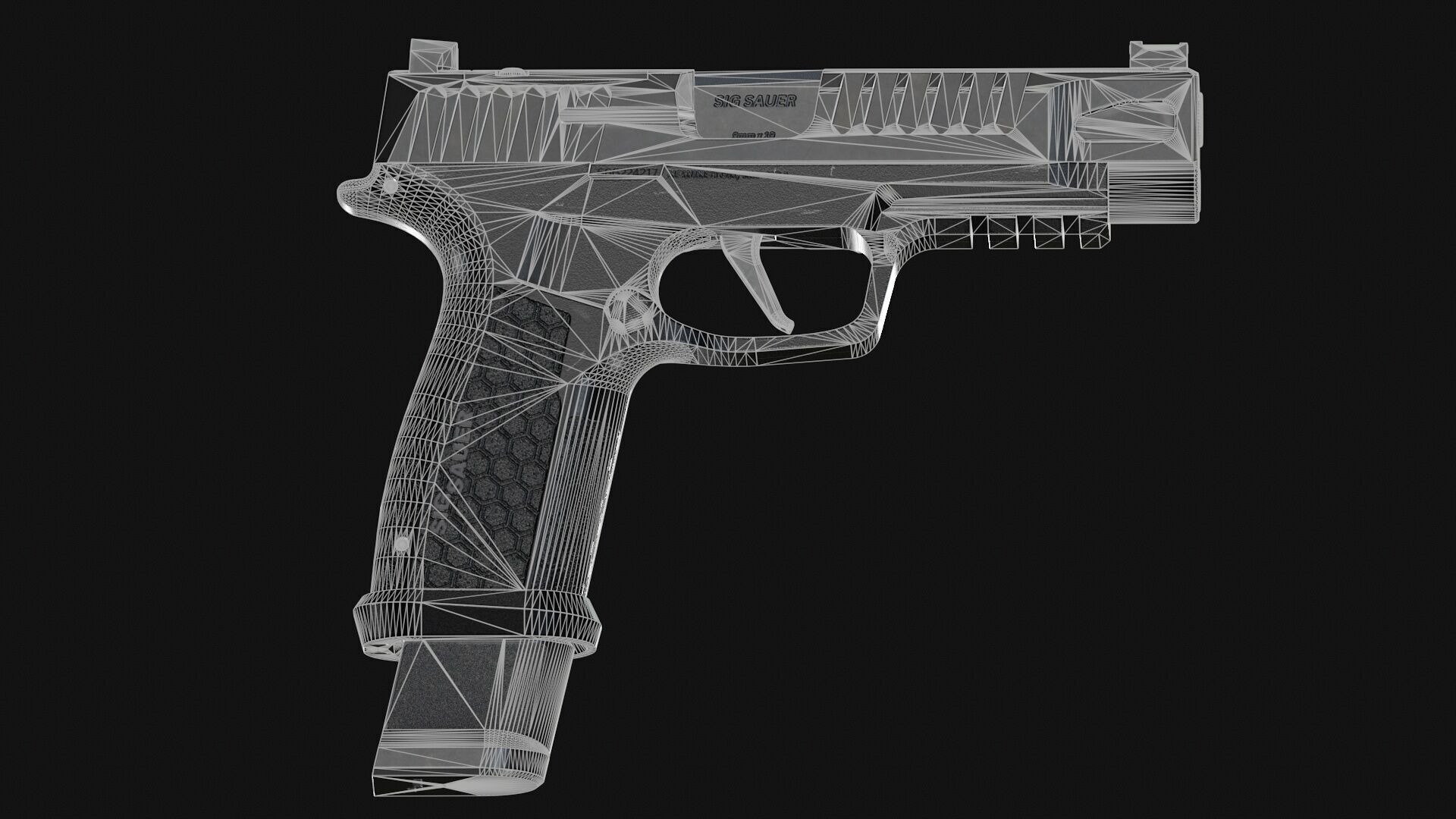 P365-Fuse Low-poly 3D model_13