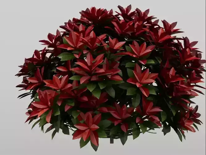 Model of spherical ornamental plants with red flowers 3D model