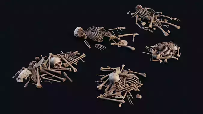 Human Bones Pile small Low-poly 3D model