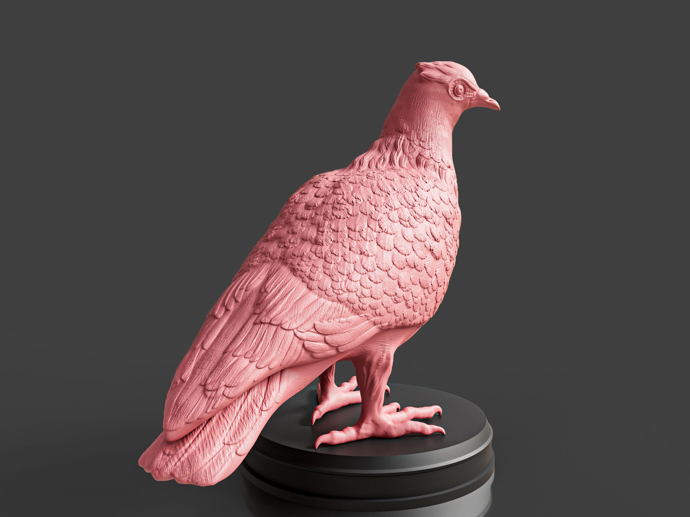 Pigeon Toy 3D print model_2