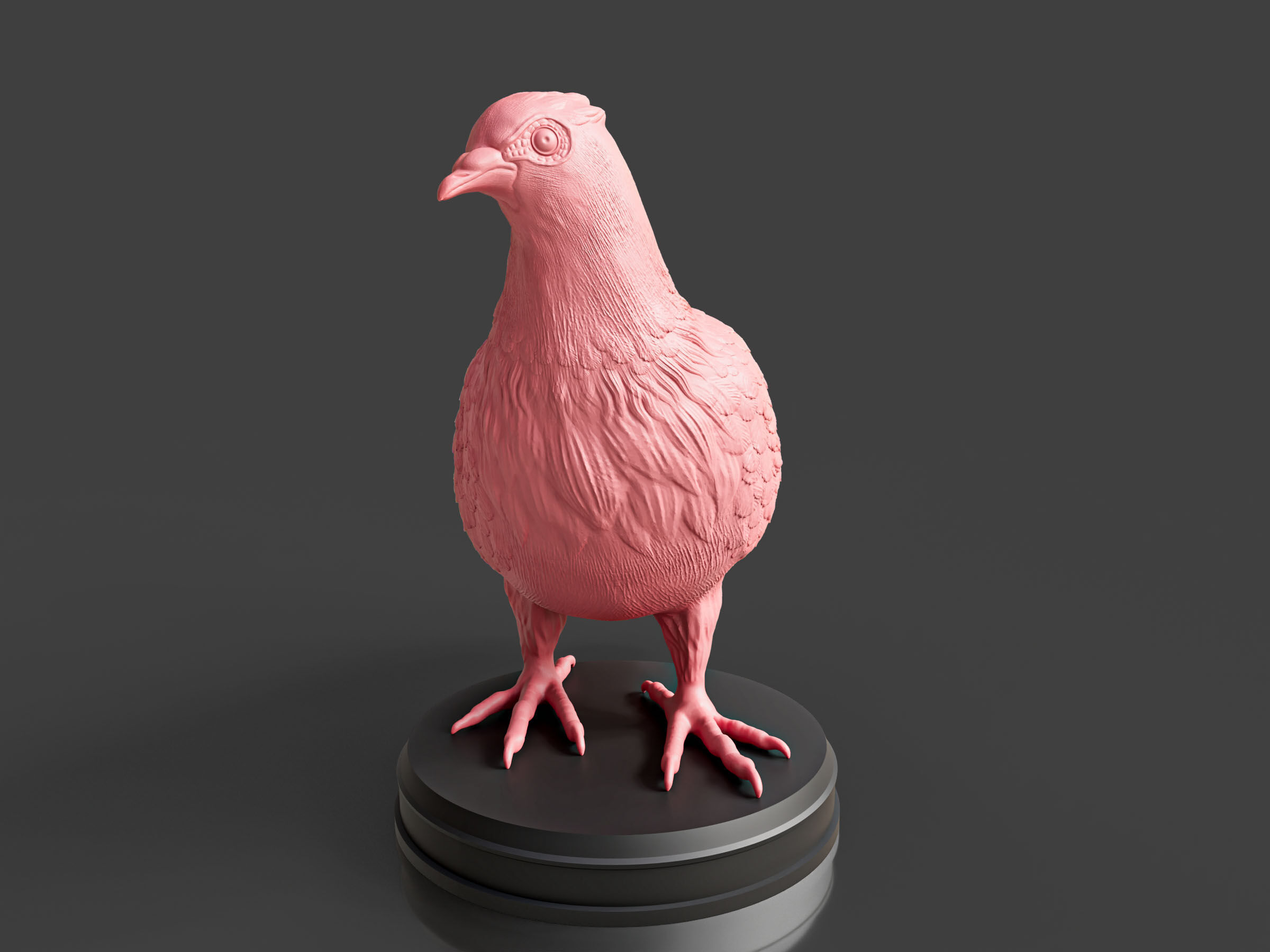 Pigeon Toy 3D print model_5