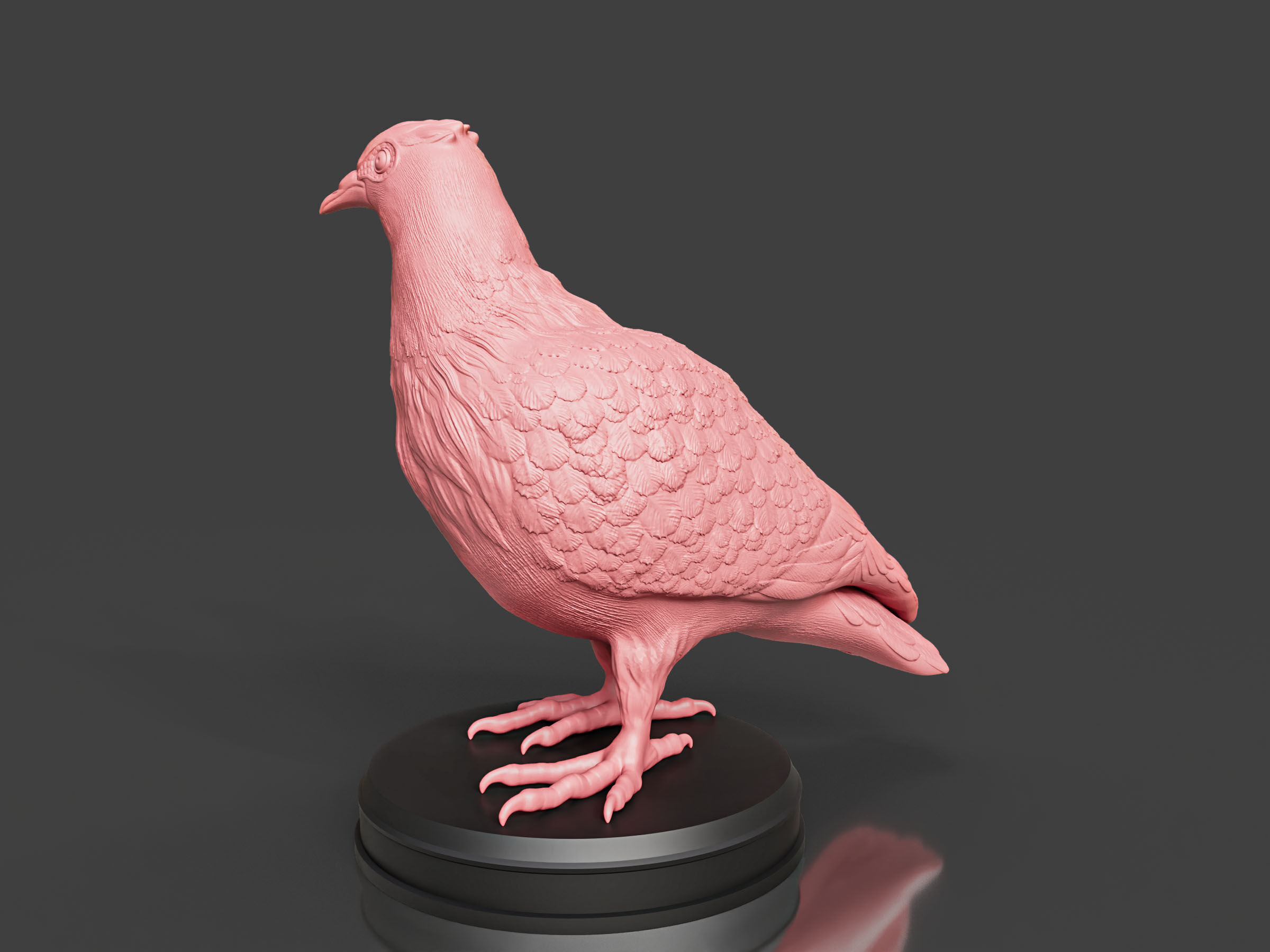 Pigeon Toy 3D print model_4