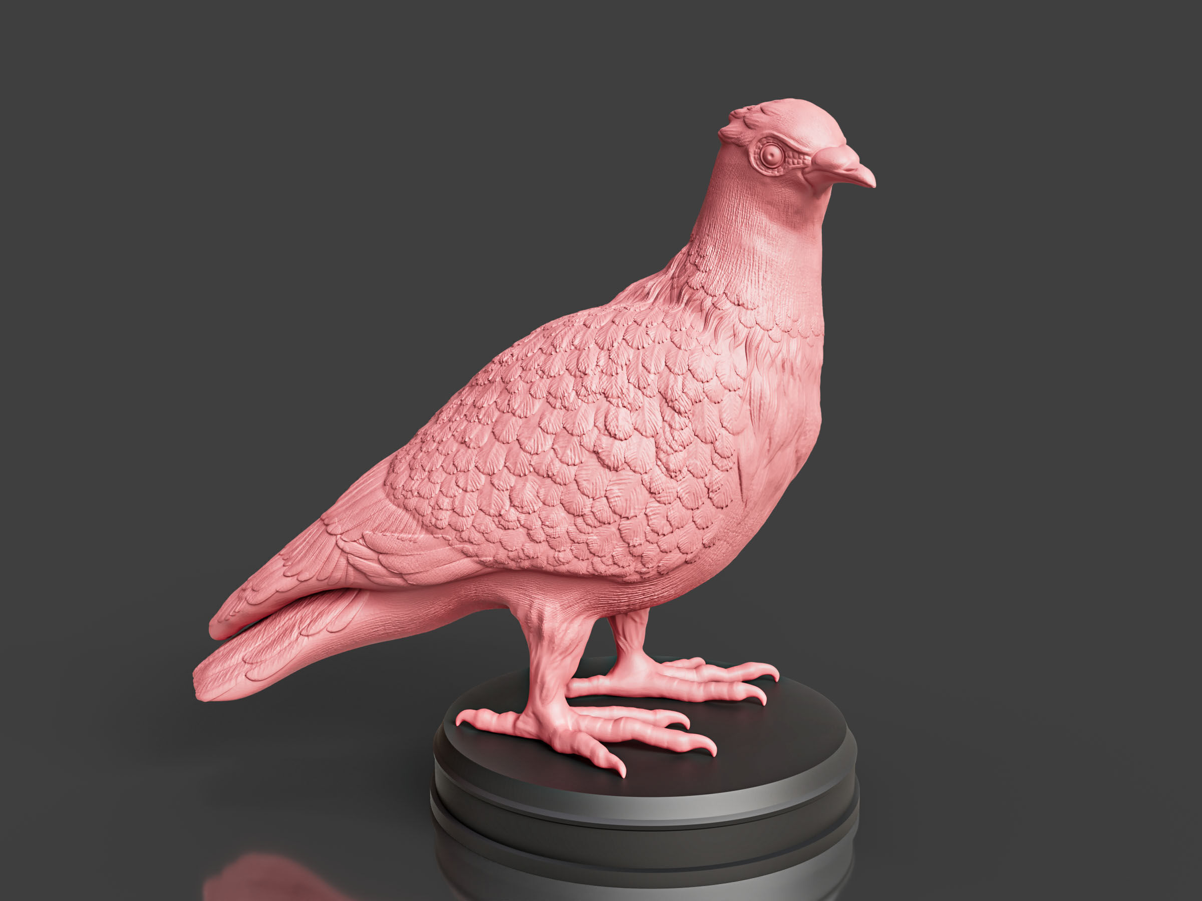 Pigeon Toy 3D print model_1