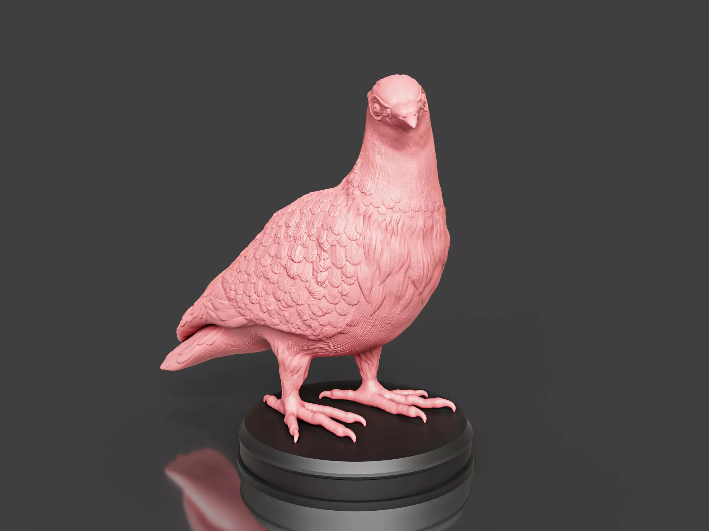 Pigeon Toy 3D print model_0