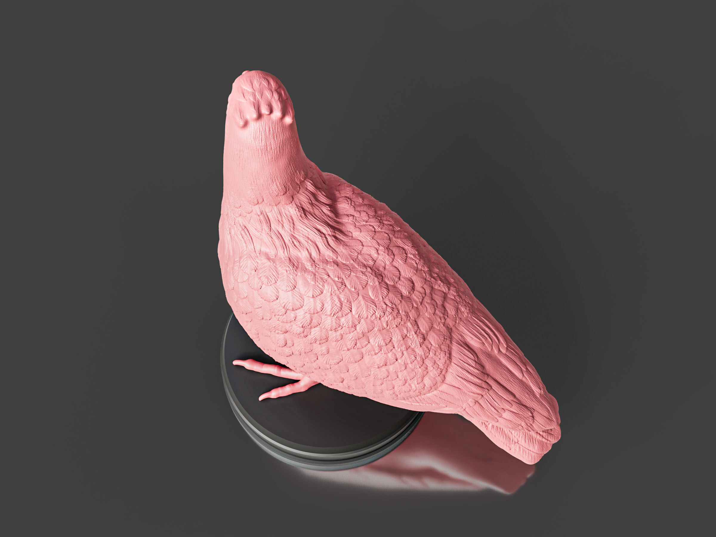 Pigeon Toy 3D print model_3