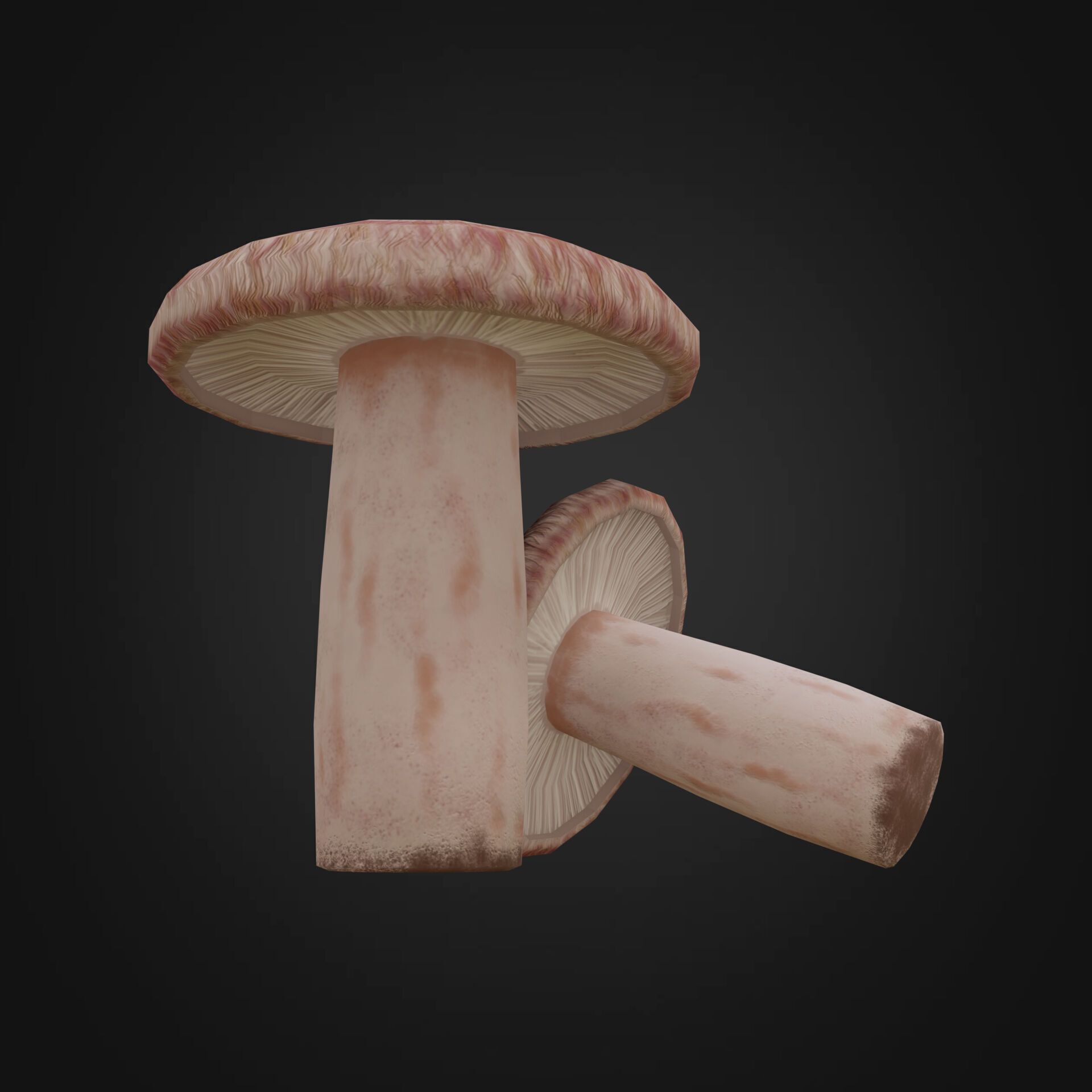 Lactarius torminosus Low-poly 3D model_2