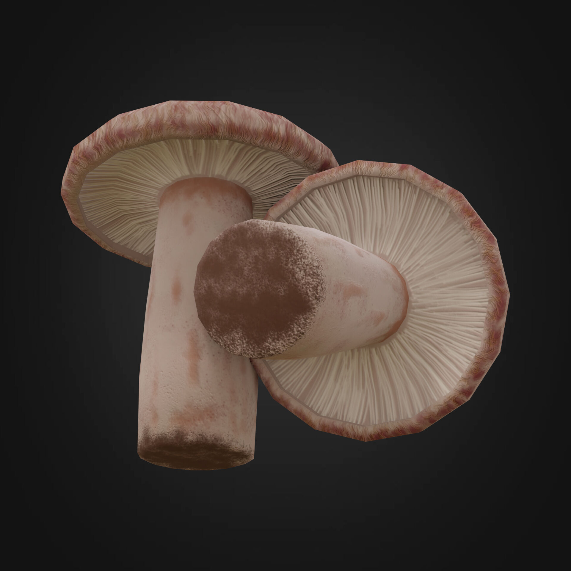 Lactarius torminosus Low-poly 3D model_4