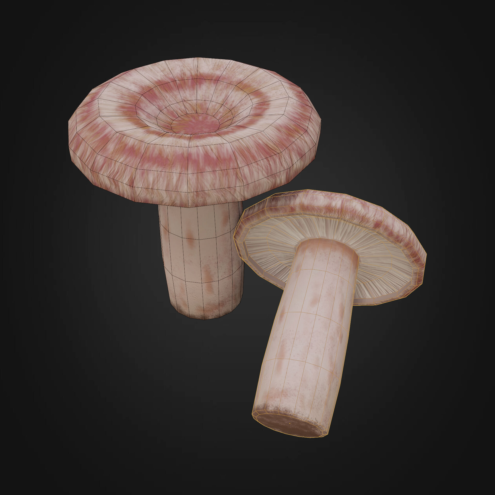 Lactarius torminosus Low-poly 3D model_6
