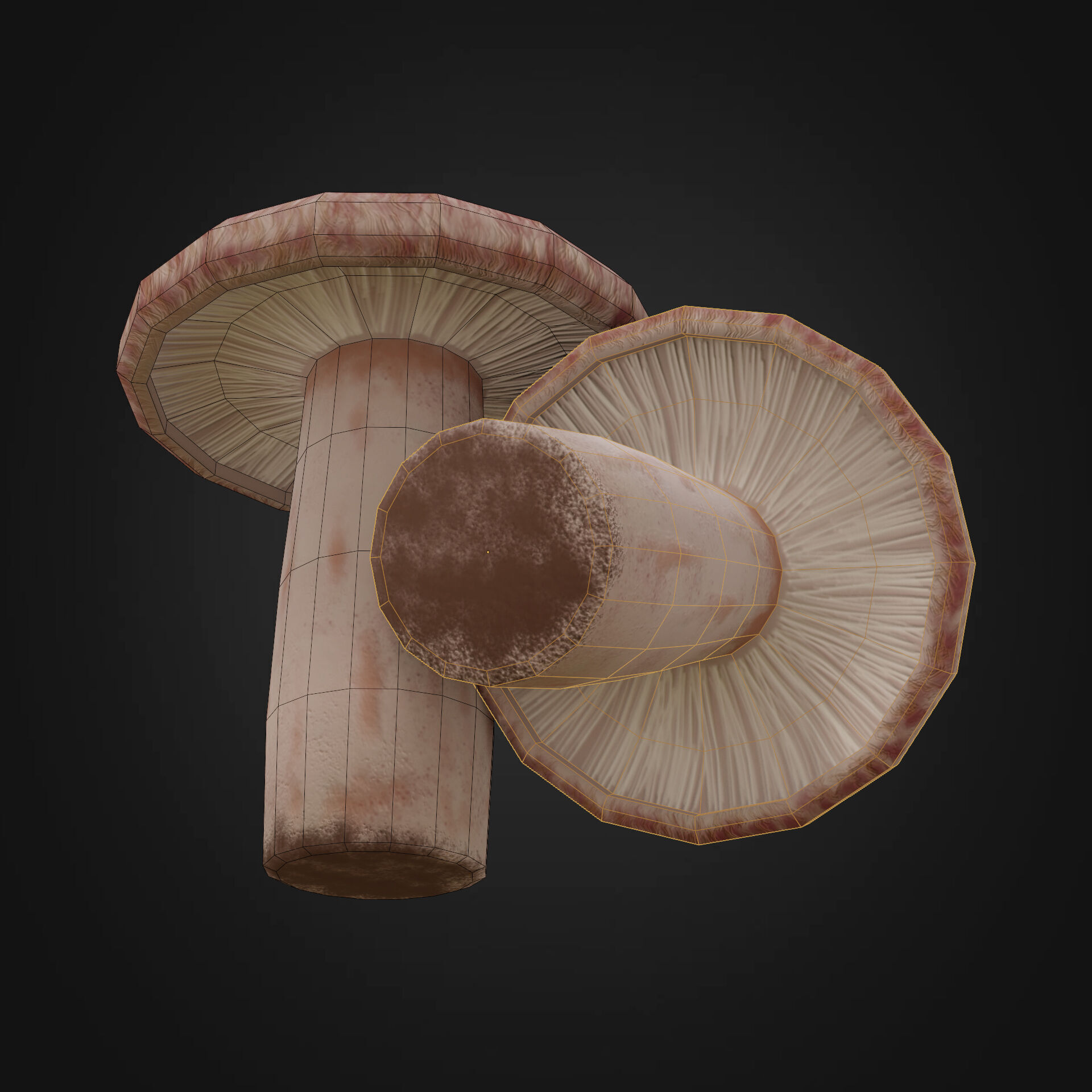 Lactarius torminosus Low-poly 3D model_5