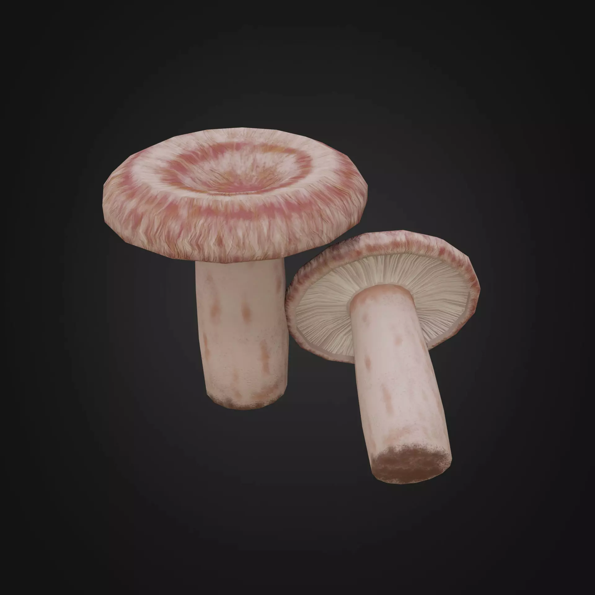 Lactarius torminosus Low-poly 3D model_0