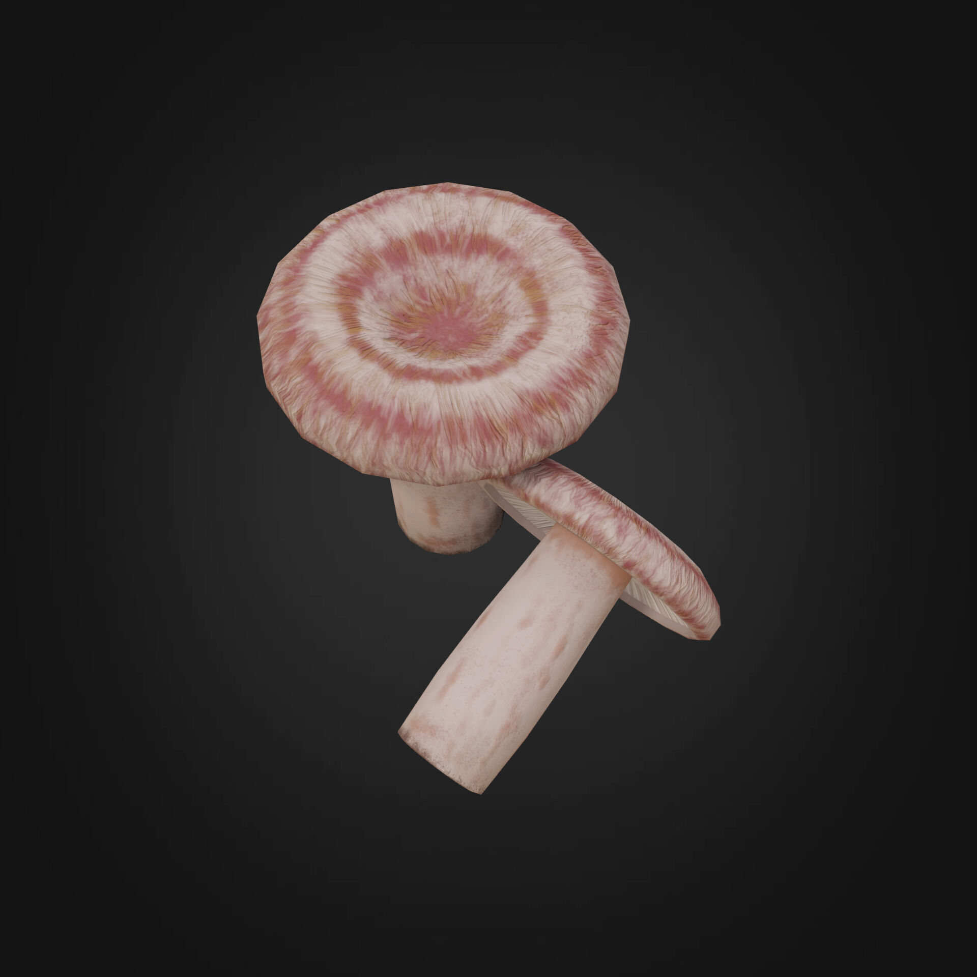 Lactarius torminosus Low-poly 3D model_1