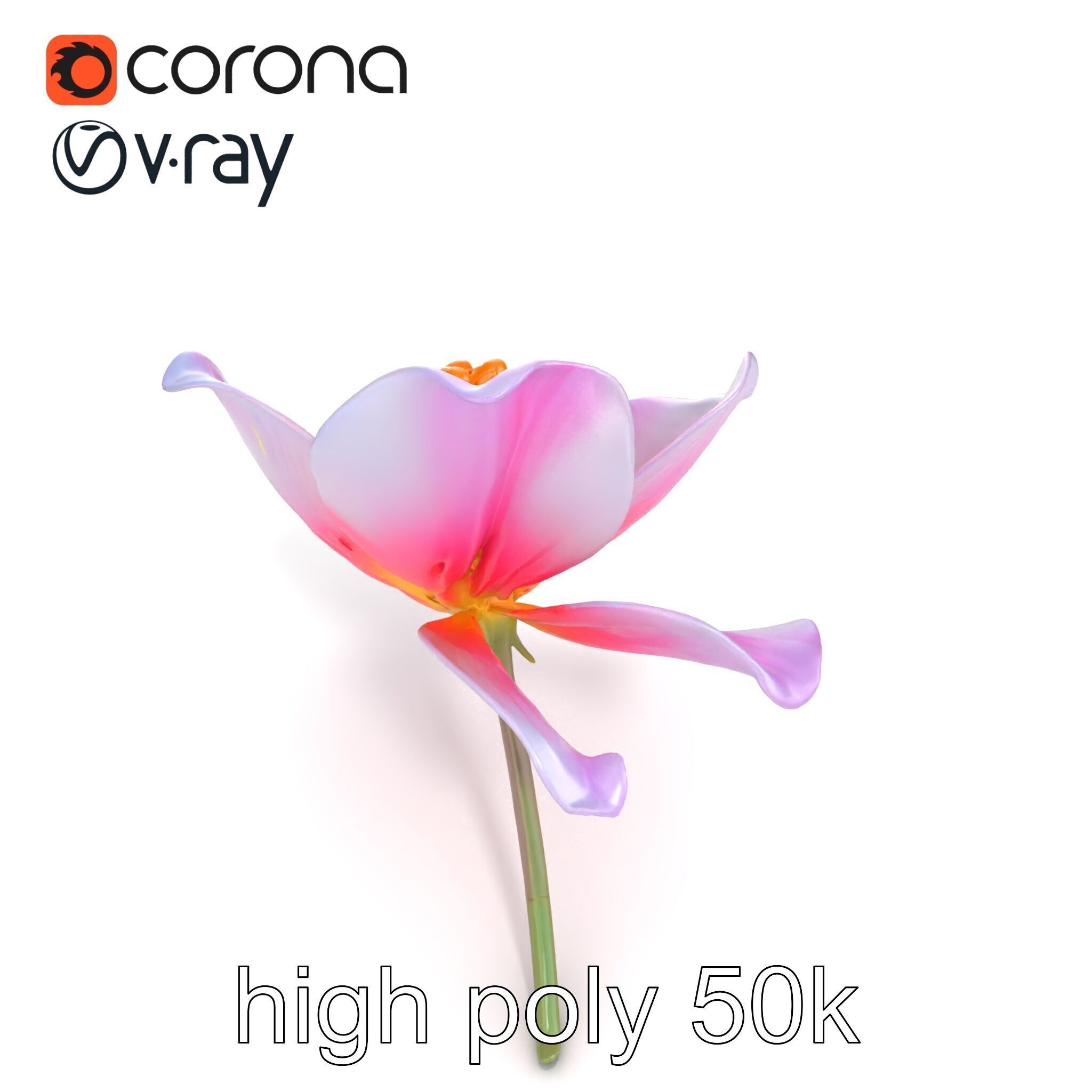 Enchanted Mystical Flower with Translucent Petals model pack Low-poly 3D model_13