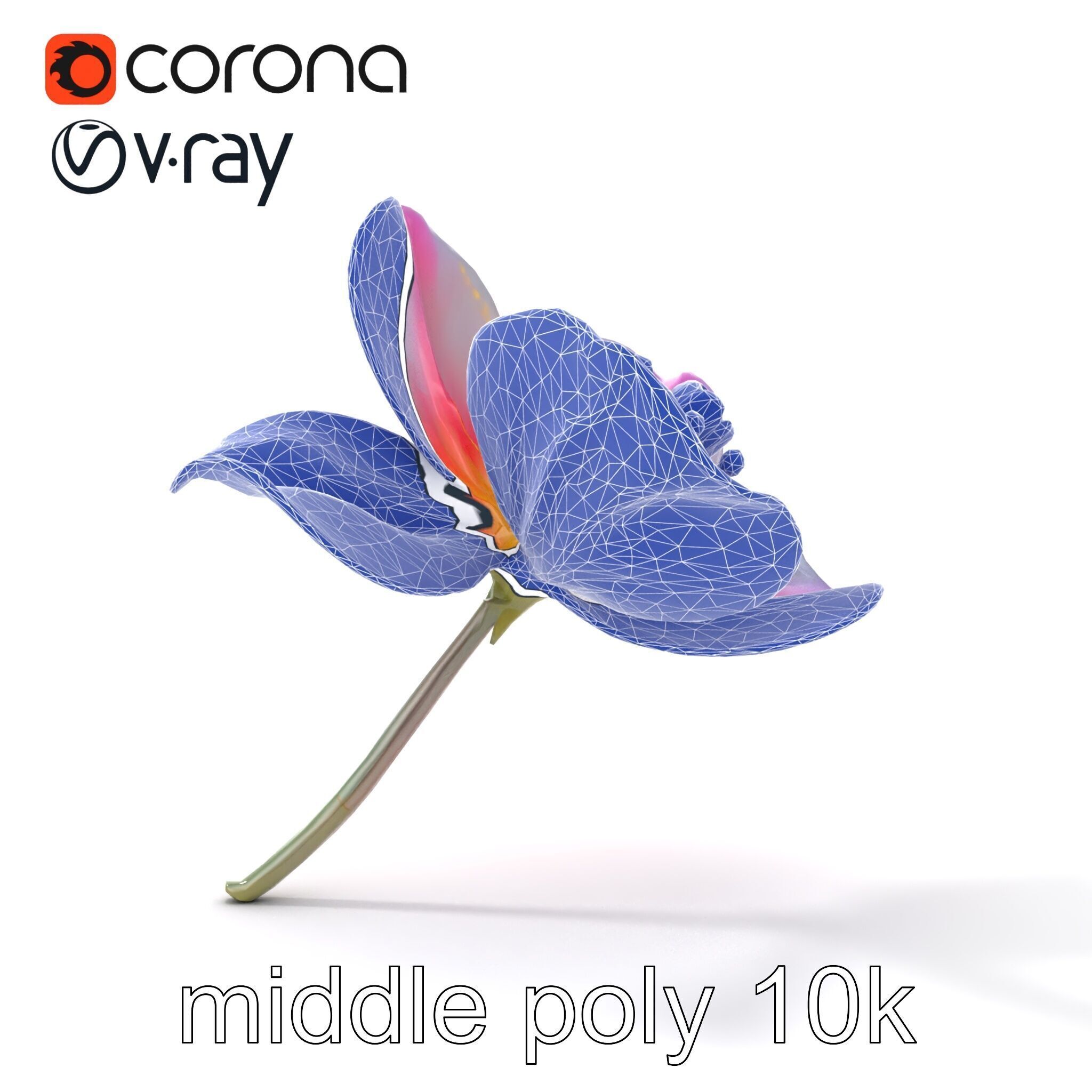 Enchanted Mystical Flower with Translucent Petals model pack Low-poly 3D model_32
