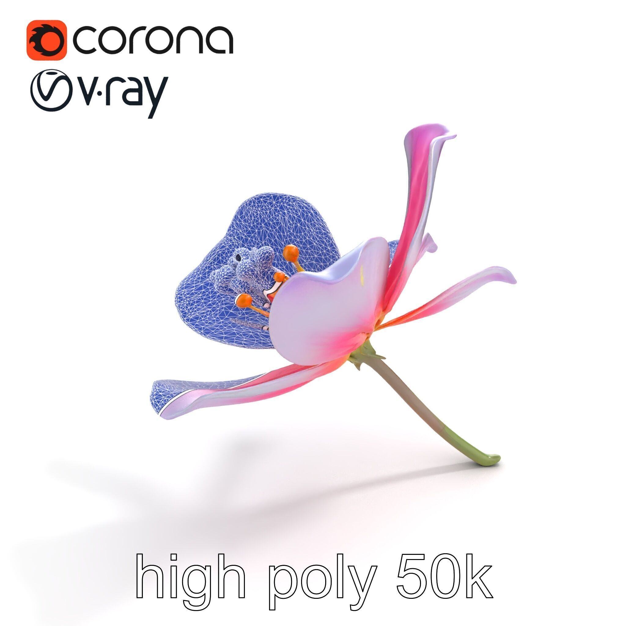 Enchanted Mystical Flower with Translucent Petals model pack Low-poly 3D model_22