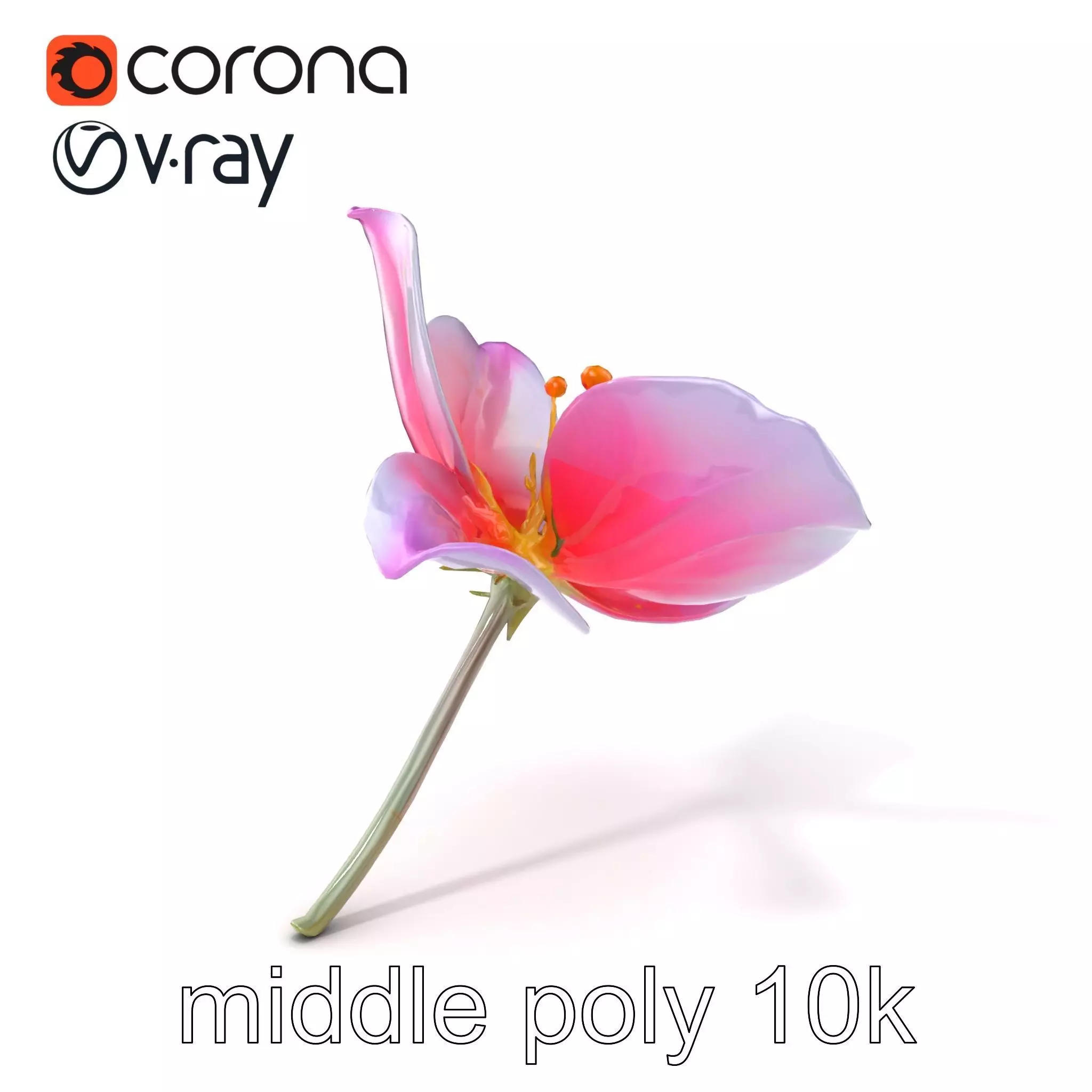 Enchanted Mystical Flower with Translucent Petals model pack Low-poly 3D model_0